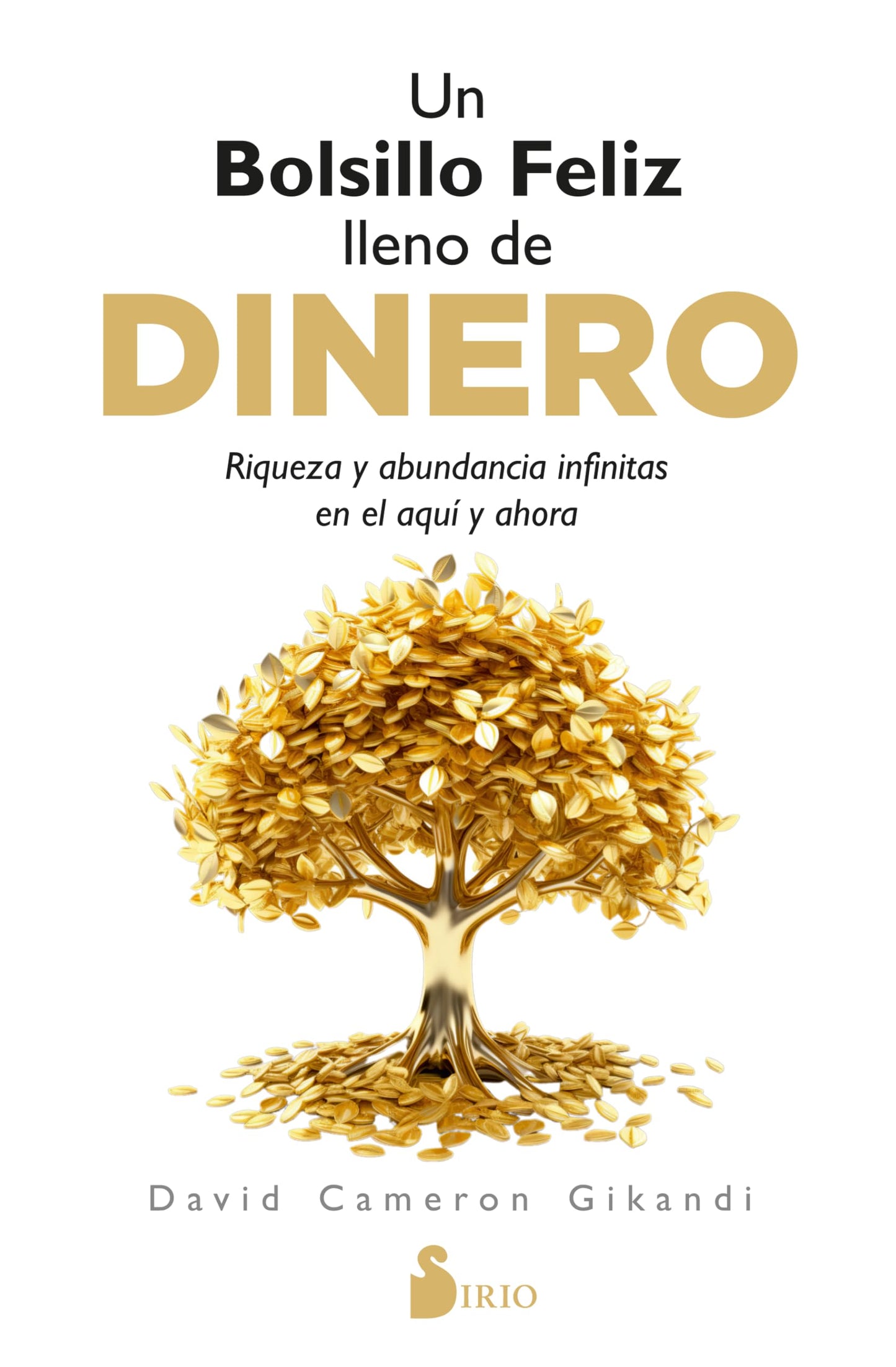 Libro: Un bolsillo feliz lleno de dinero: Riqueza y abundancia infinitas en el aquí y ahora (Spanish Edition)