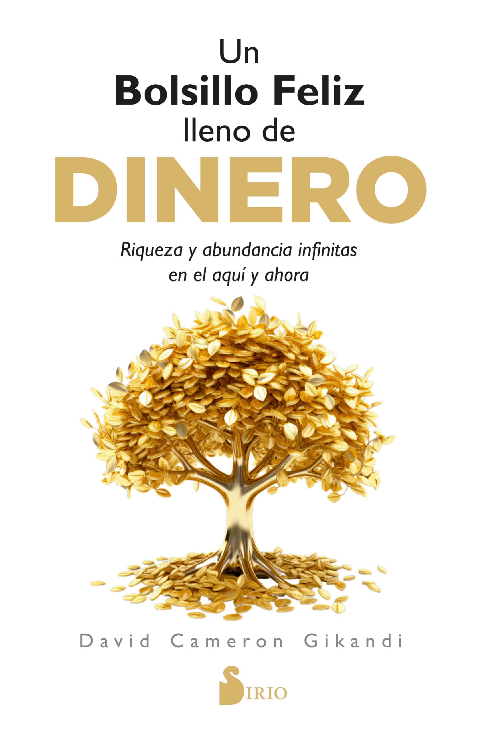 Libro: Un bolsillo feliz lleno de dinero: Riqueza y abundancia infinitas en el aquí y ahora (Spanish Edition)