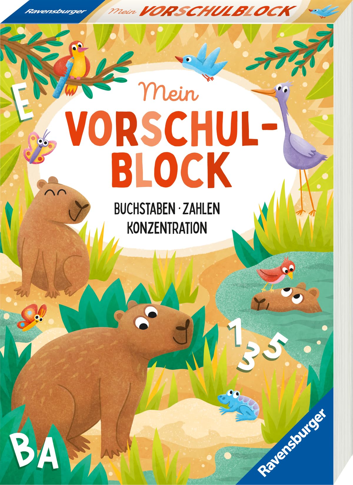 Libro: Mein Vorschulblock: Buchstaben, Zahlen, Konzentration