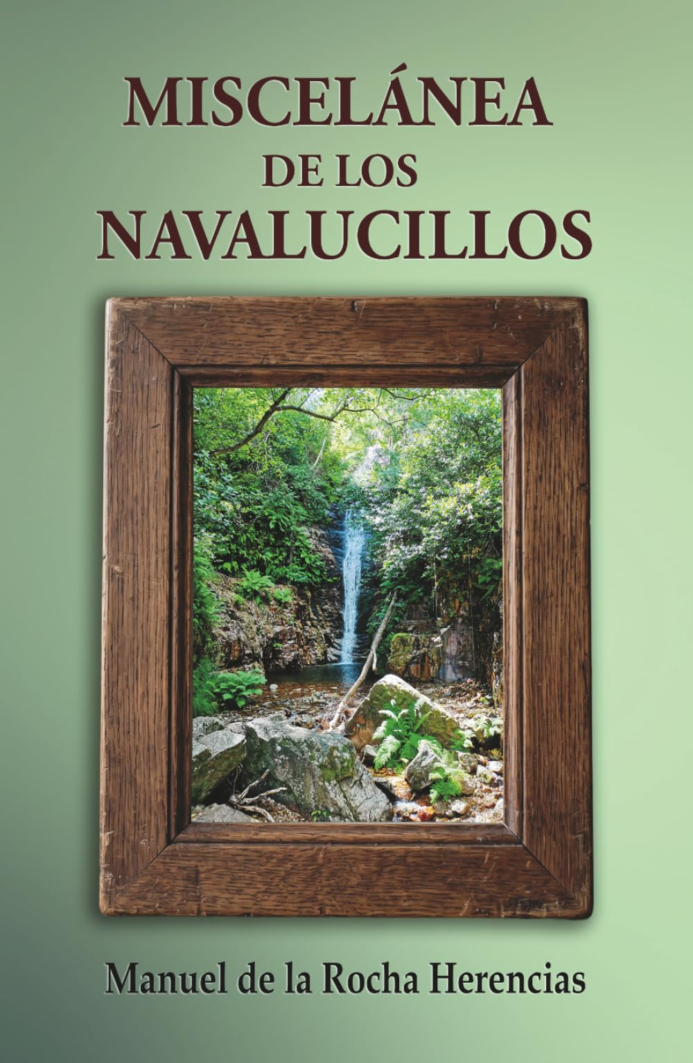 Libro: Miscelánea de los Navalucillos (Spanish Edition)