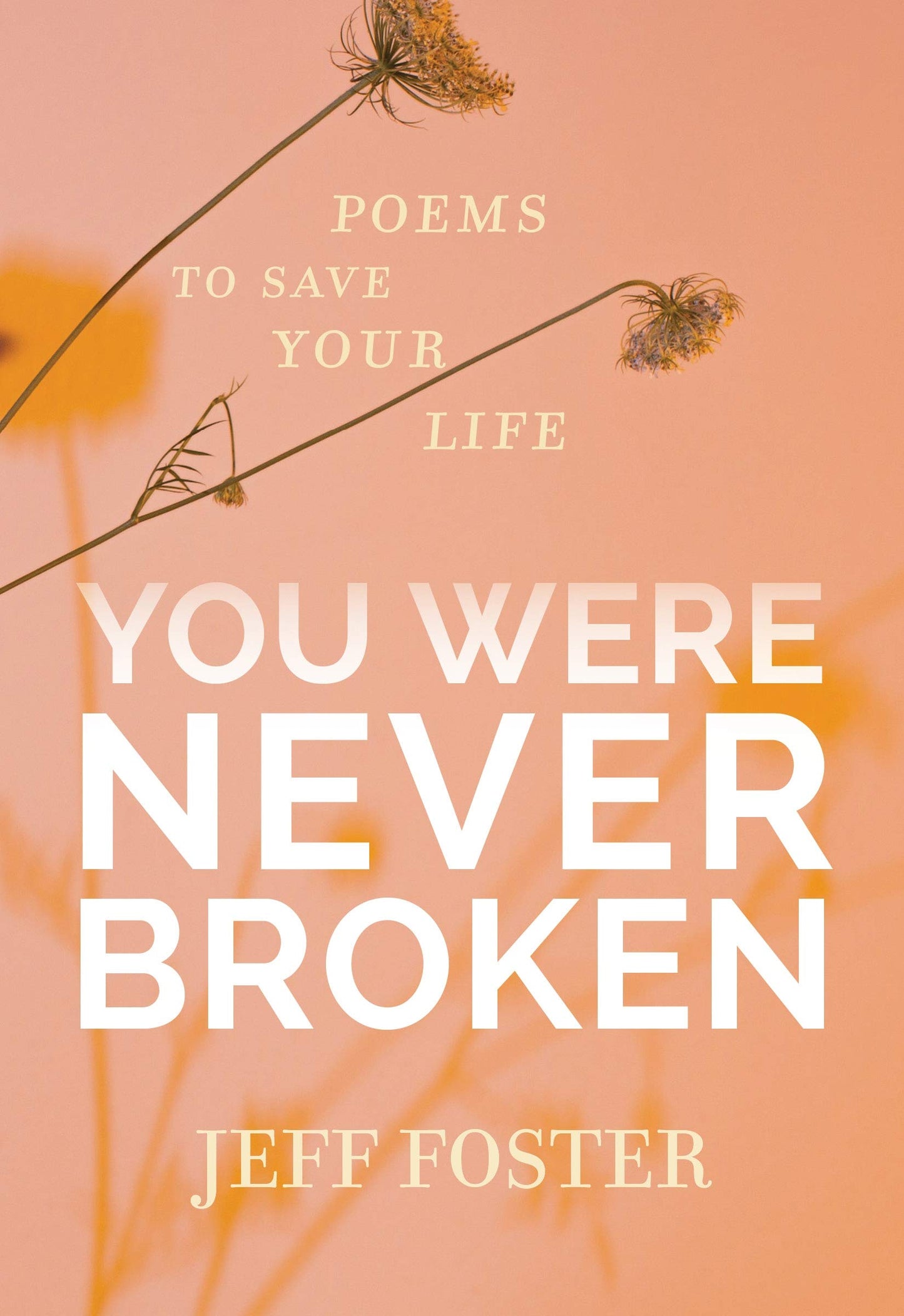 Libro: You Were Never Broken: Poems to Save Your Life