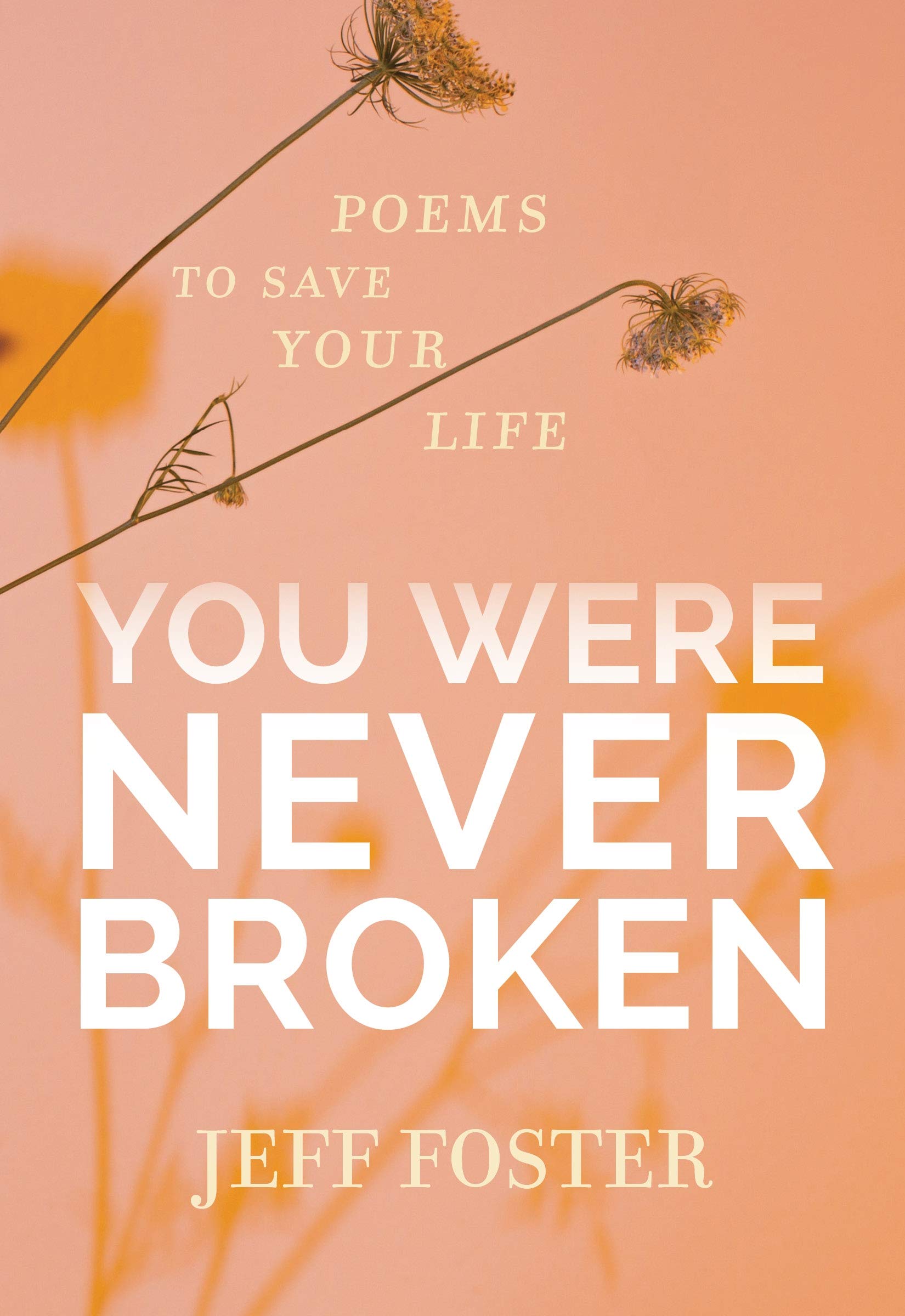 Libro: You Were Never Broken: Poems to Save Your Life