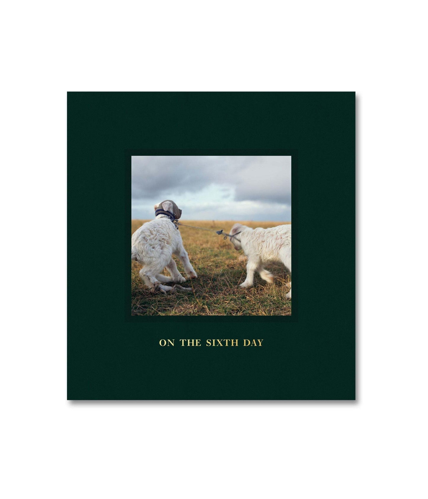 Libro: On the Sixth Day Alessandra Sanguinetti