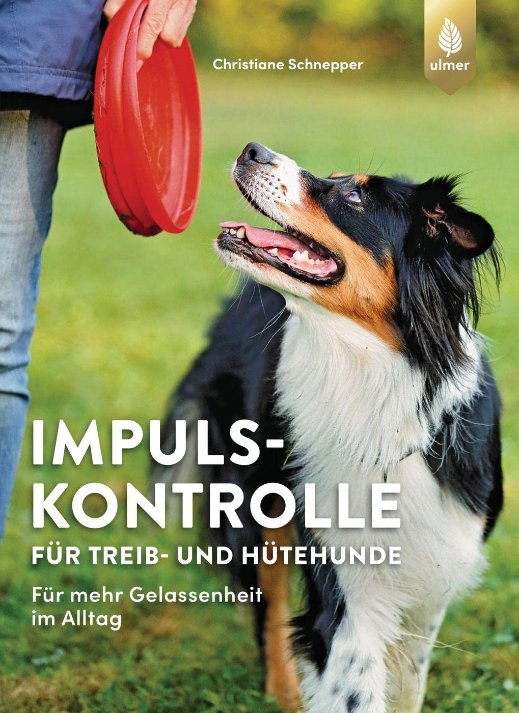 Libro: Impulskontrolle für Treib- und Hütehunde: Für mehr Gelassenheit im Alltag mit Border Collie, Australian Shepherd, Australian Cattle Dog, Appenzeller Sennenhund & Co.