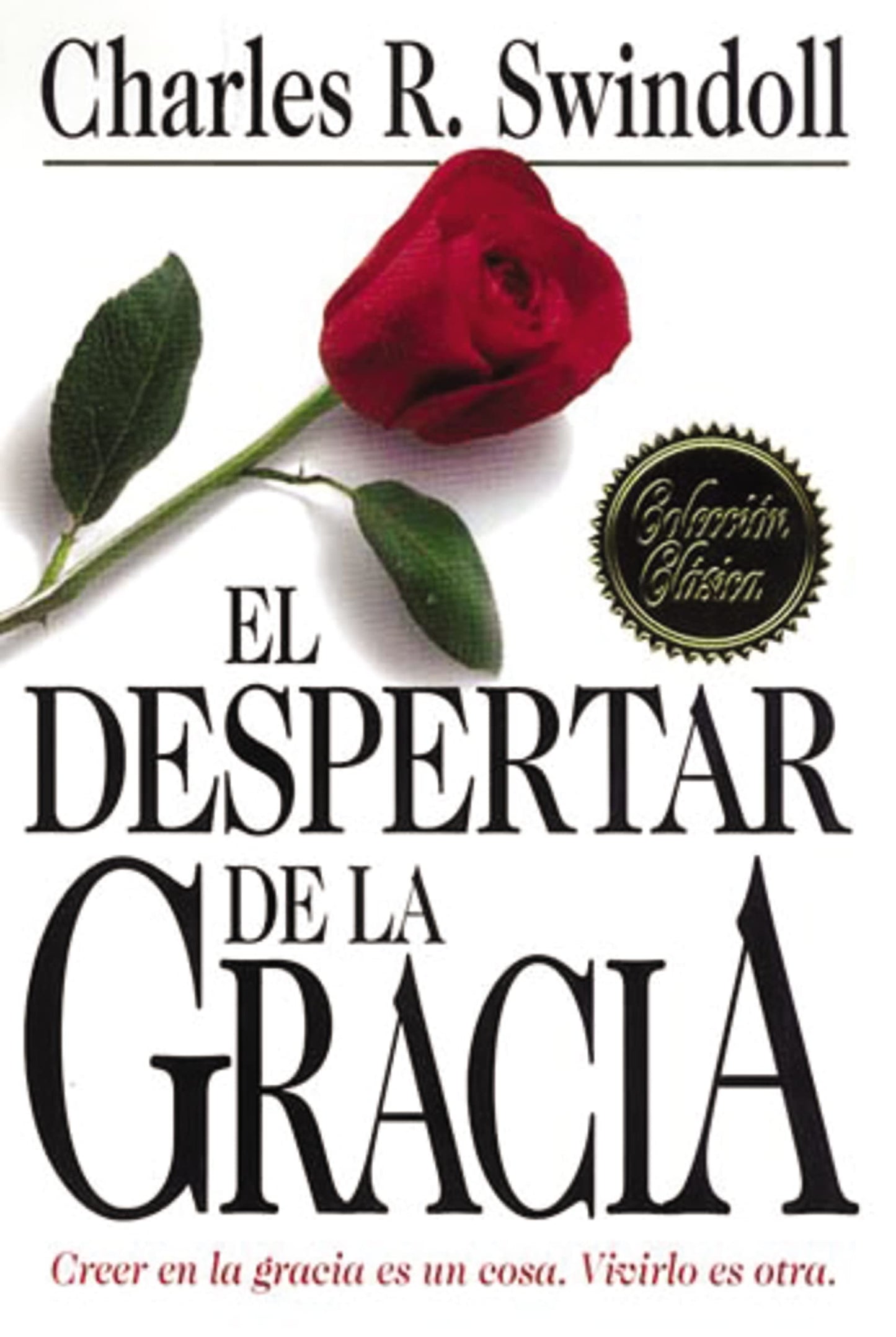 Libro: El despertar de la gracia: Creer En LA Gracia Es Una Cosa : Vivirlo Es Otra