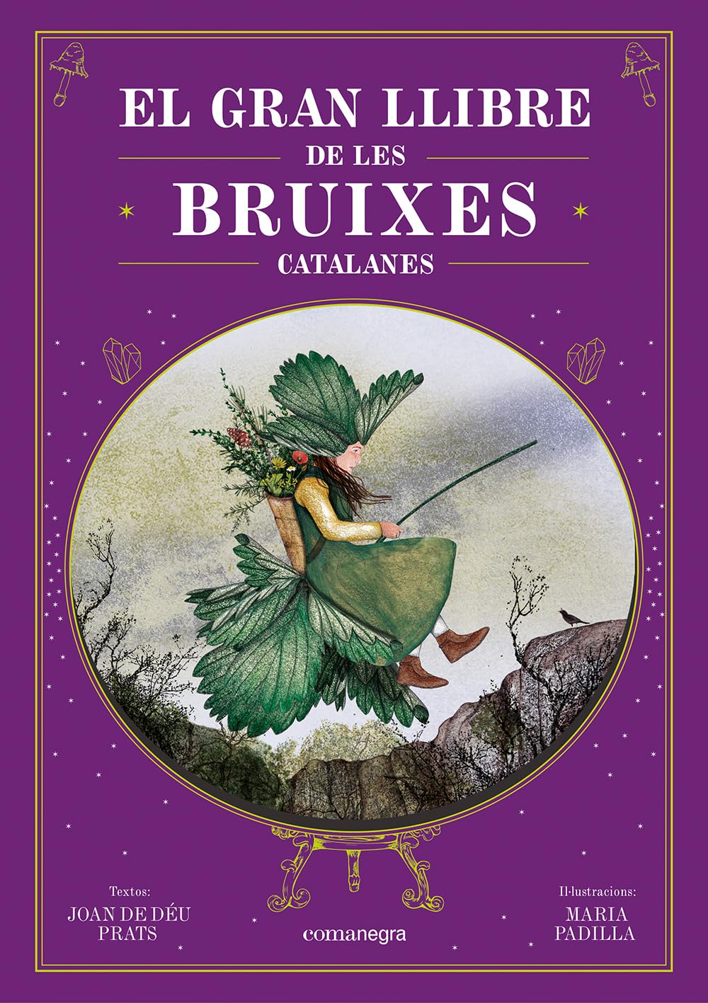 Libro: El gran llibre de les bruixes catalanes (Catalunya Fantàstica)