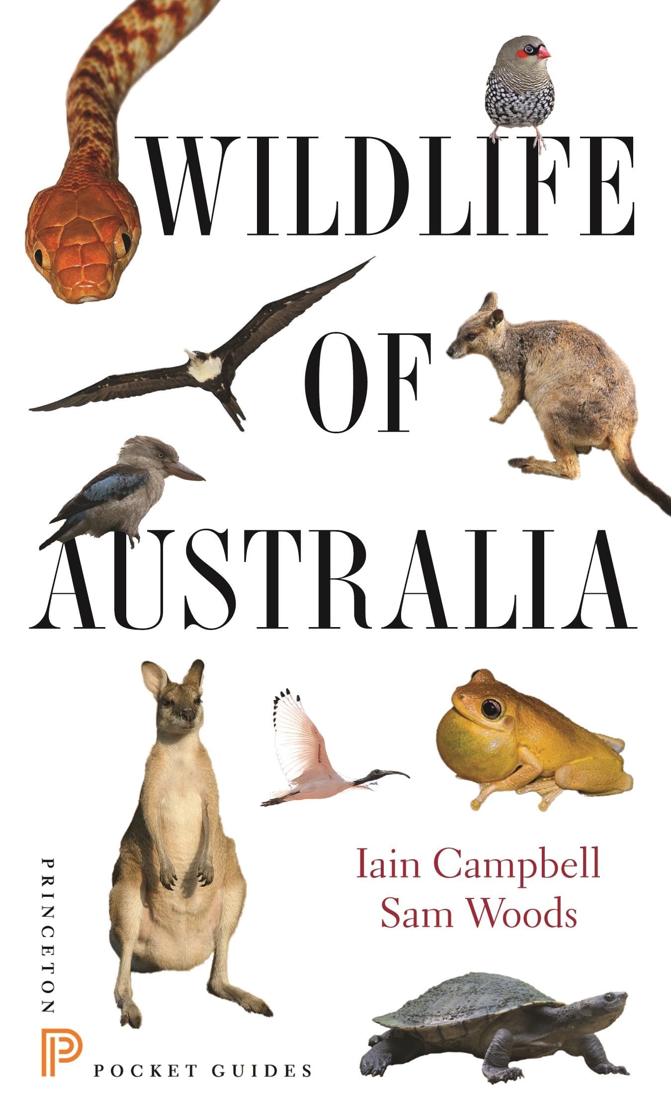 Libro: Wildlife of Australia (Princeton Pocket Guides)