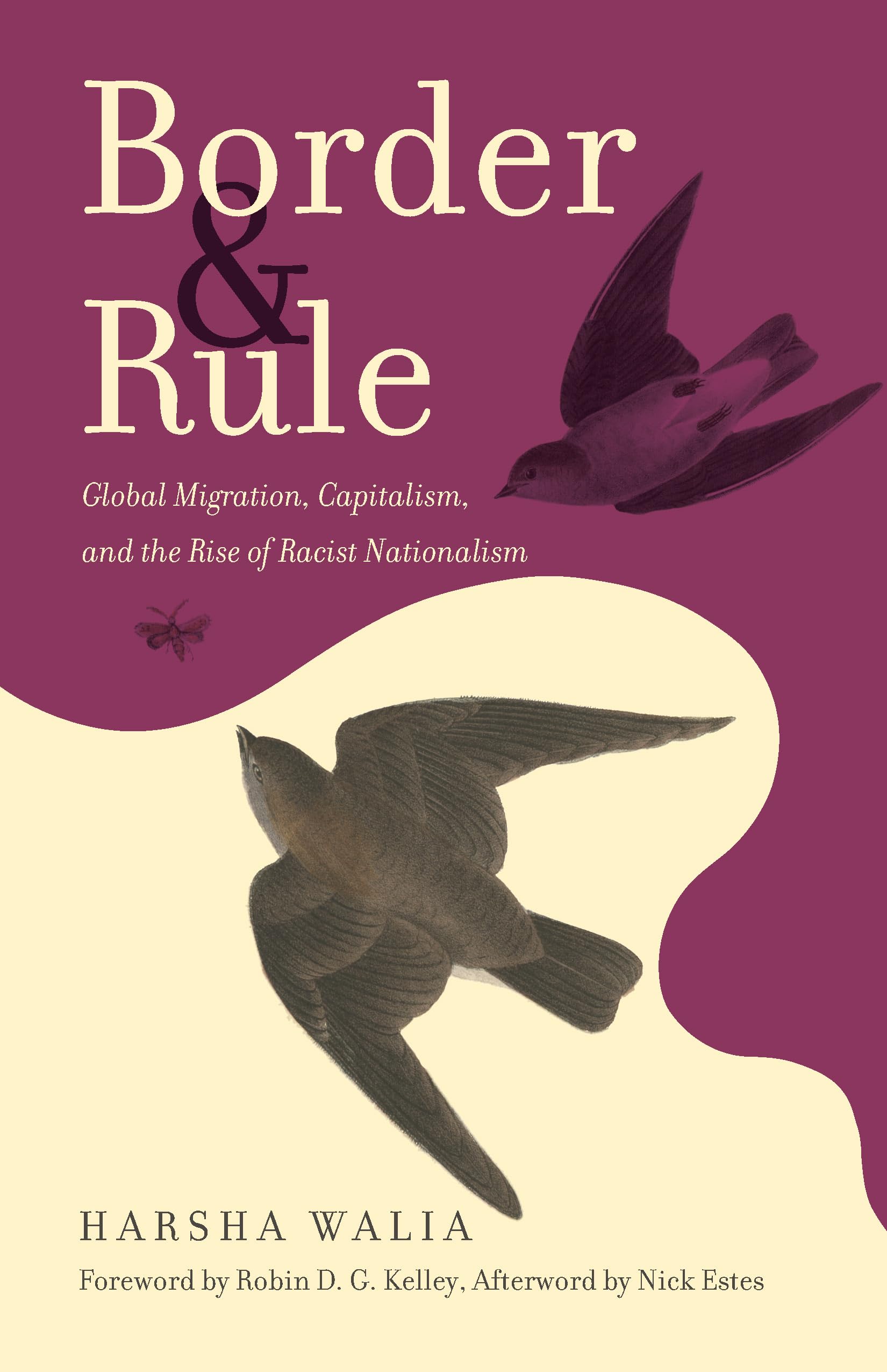Libro: Border and Rule: Global Migration, Capitalism, and the Rise of Racist Nationalism