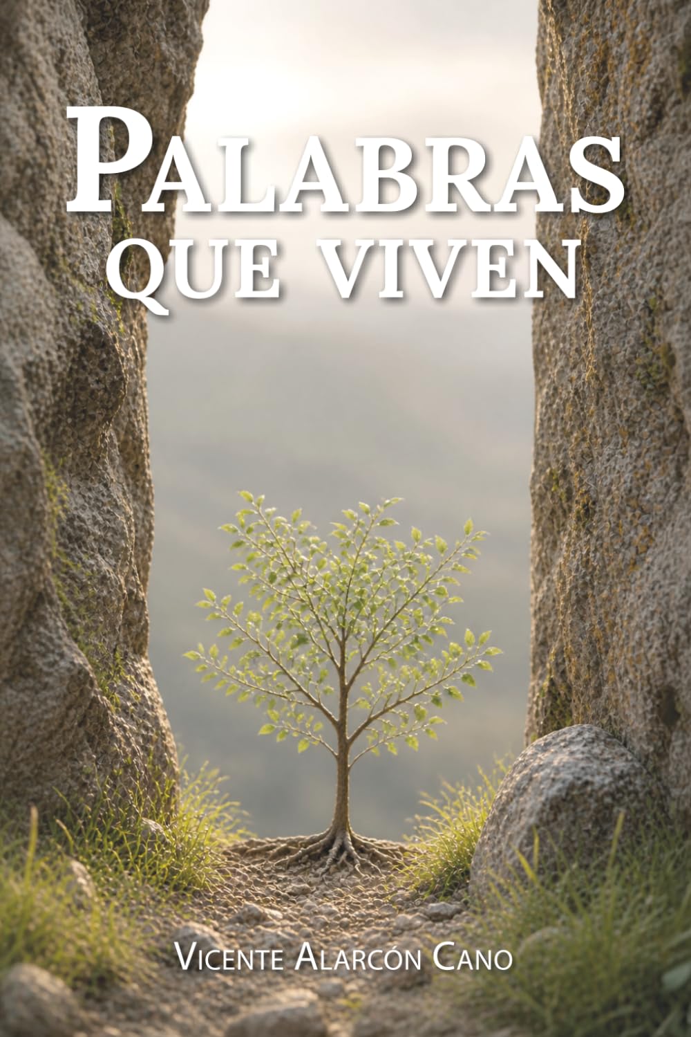 Libro: Palabras que viven
