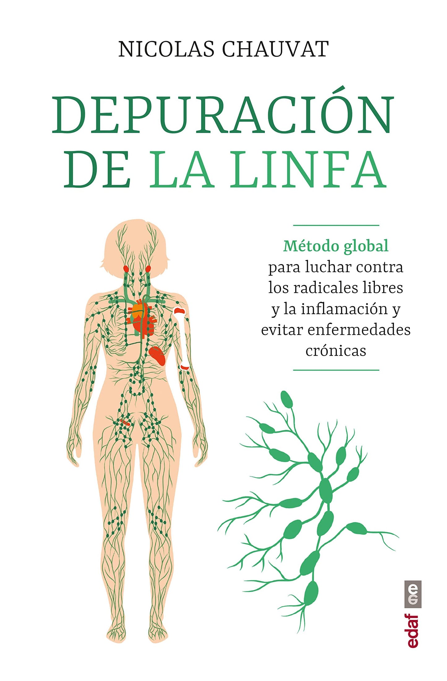 Libro: Depuración de la linfa: Método global para luchar contra los radicales libres y la inflamación y evitar enfermedades crónicas (Spanish Edition)