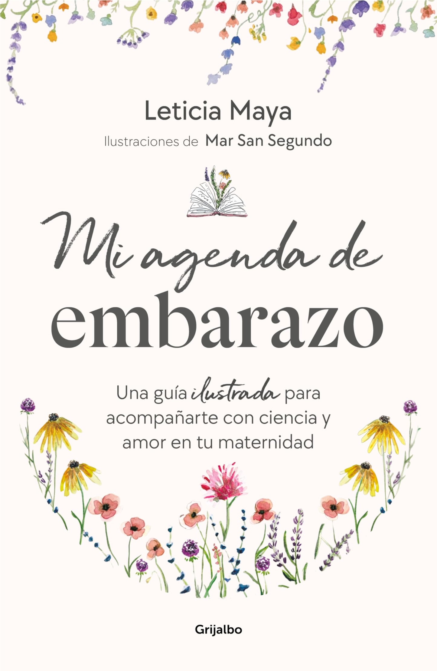 Libro: Mi agenda de embarazo: Una guía ilustrada para acompañarte con ciencia y amor en tu maternidad