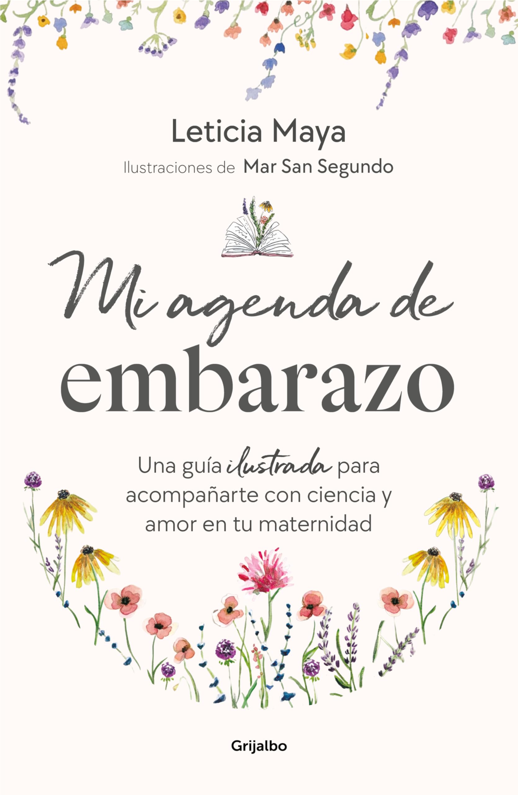 Libro: Mi agenda de embarazo: Una guía ilustrada para acompañarte con ciencia y amor en tu maternidad
