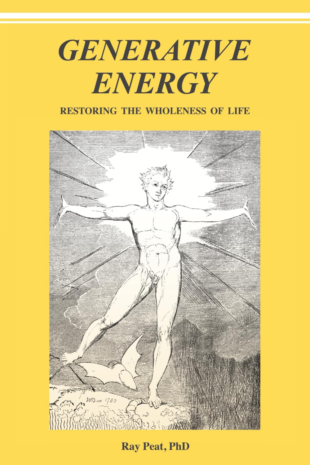 Libro: GENERATIVE ENERGY: Restoring The Wholeness Of Life