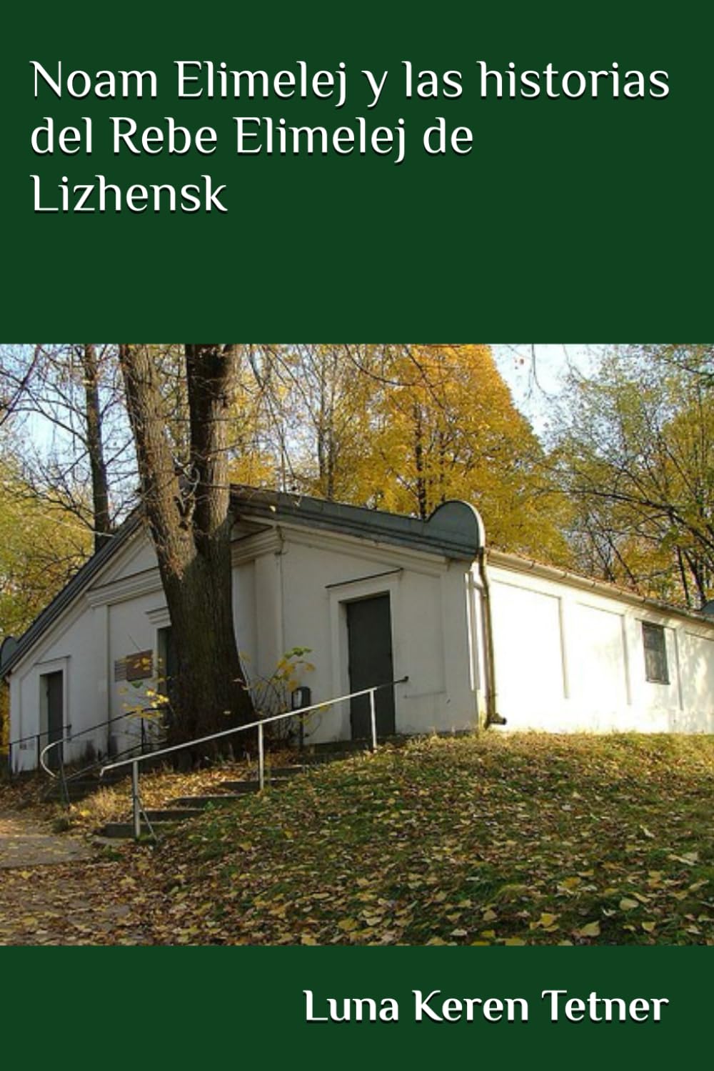 Libro: Noam Elimelej y las historias del Rebe Elimelej de Lizhensk (Spanish Edition)