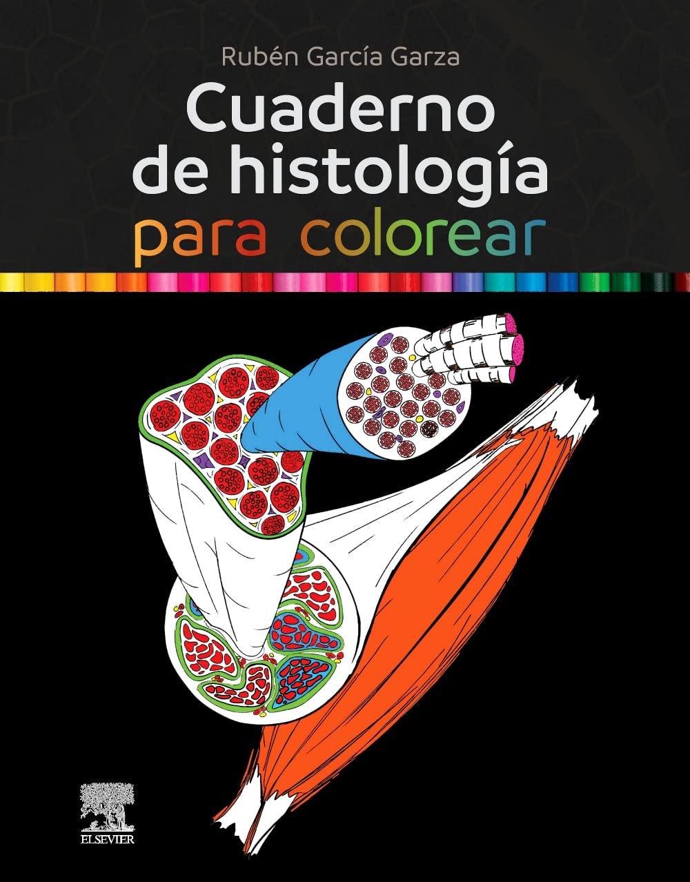 Libro: Cuaderno de histología para colorear