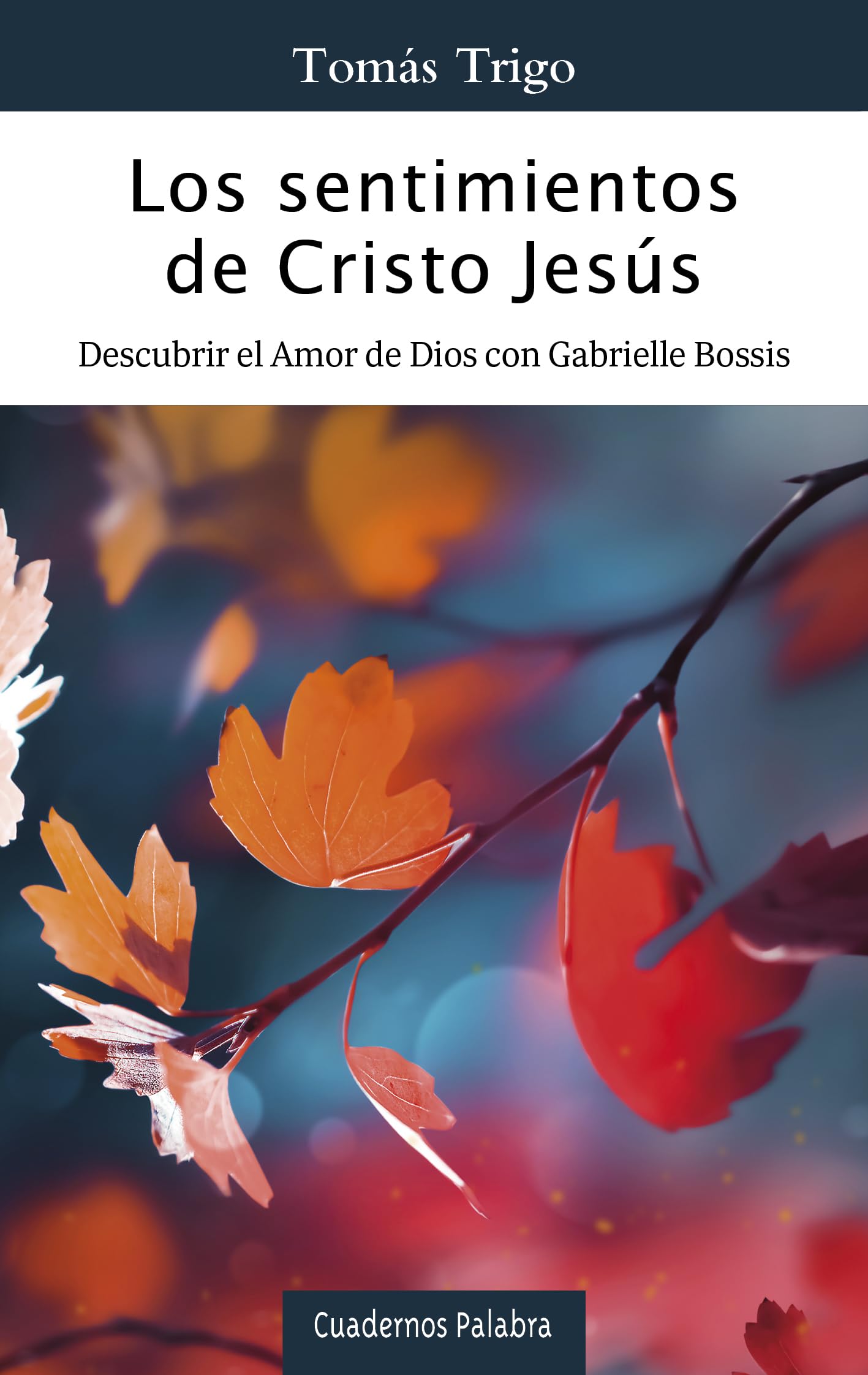 Libro: Los sentimientos de Cristo Jesús. Descubrir el Amor de Dios con Gabrielle Bossis: 196 (Cuadernos Palabra)
