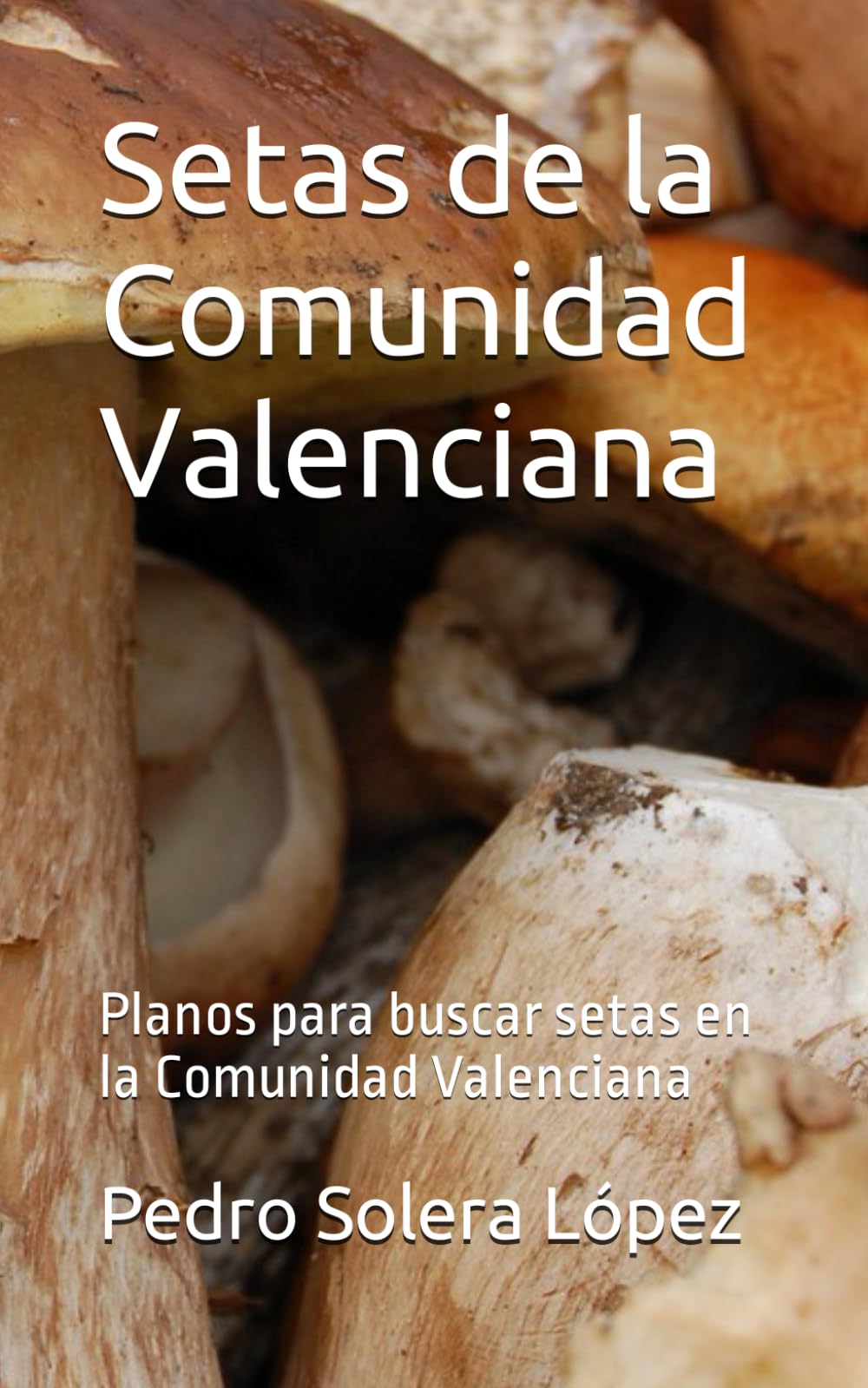 Libro: Setas de la Comunidad Valenciana: Planos para buscar setas en la Comunidad Valenciana (Spanish Edition)