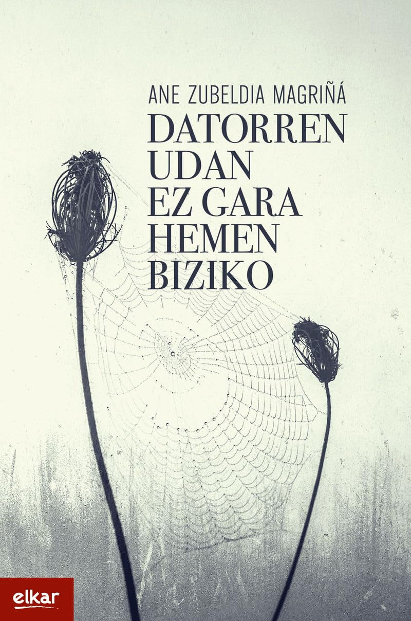 Libro: Datorren udan ez gara hemen biziko: 445 (Literatura)