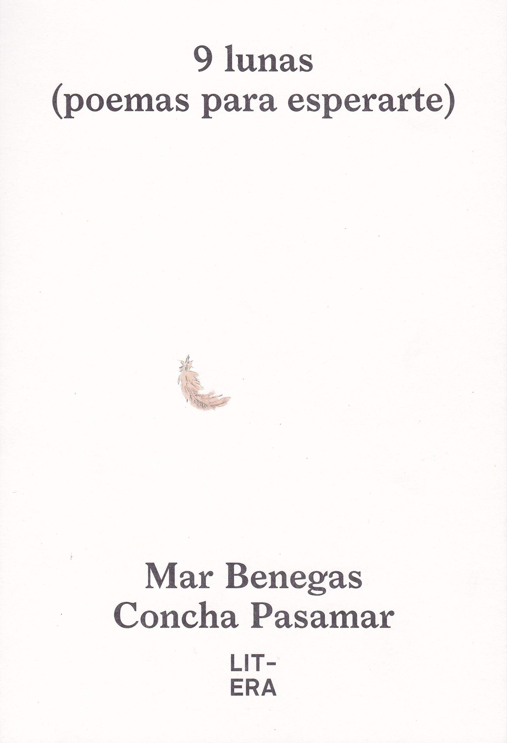 Libro: 9 Lunas: Poemas para esperarte