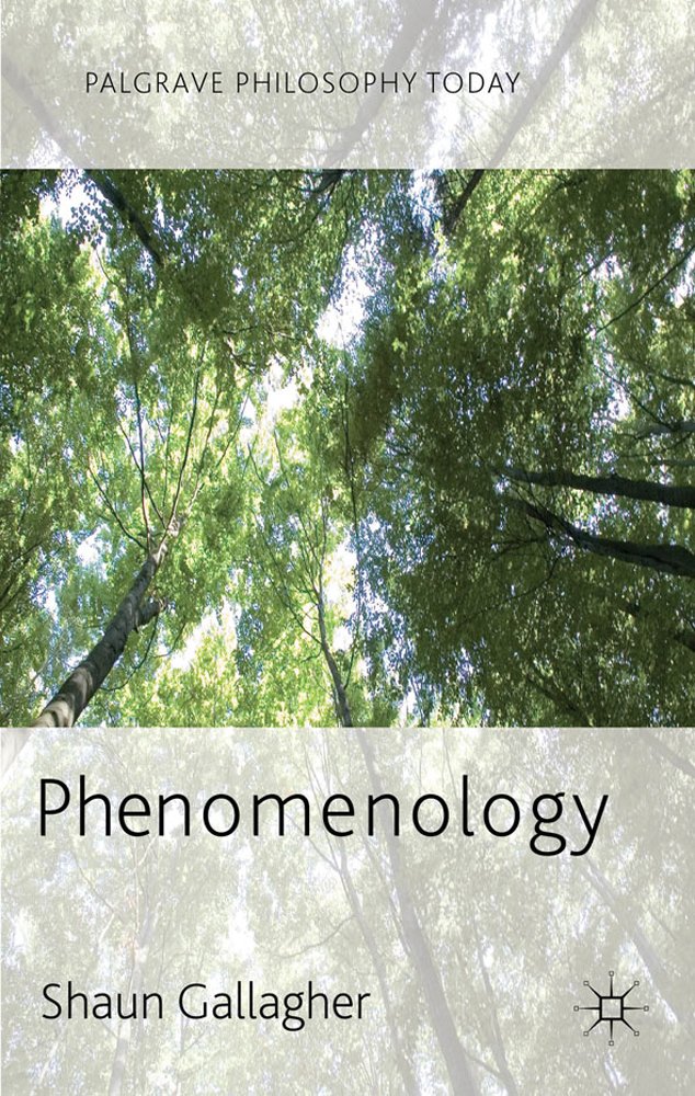 Libro: Phenomenology (Palgrave Philosophy Today)