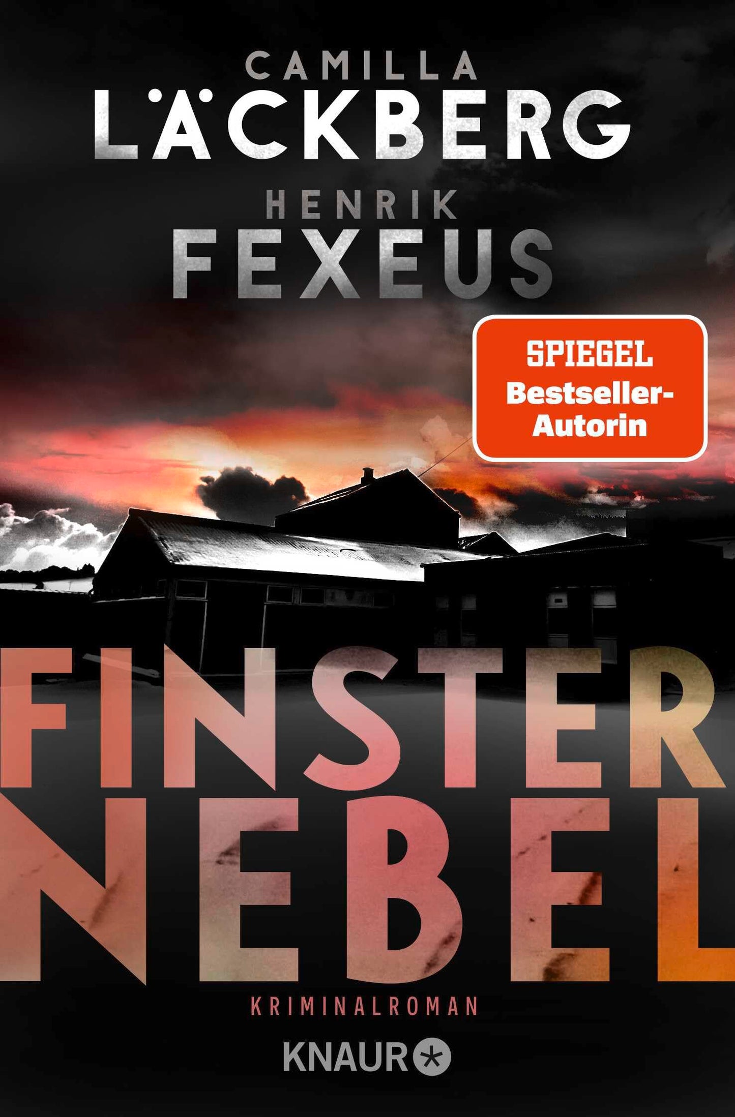Libro: Finsternebel: Kriminalroman | Der Bestseller aus Schweden jetzt im Taschenbuch