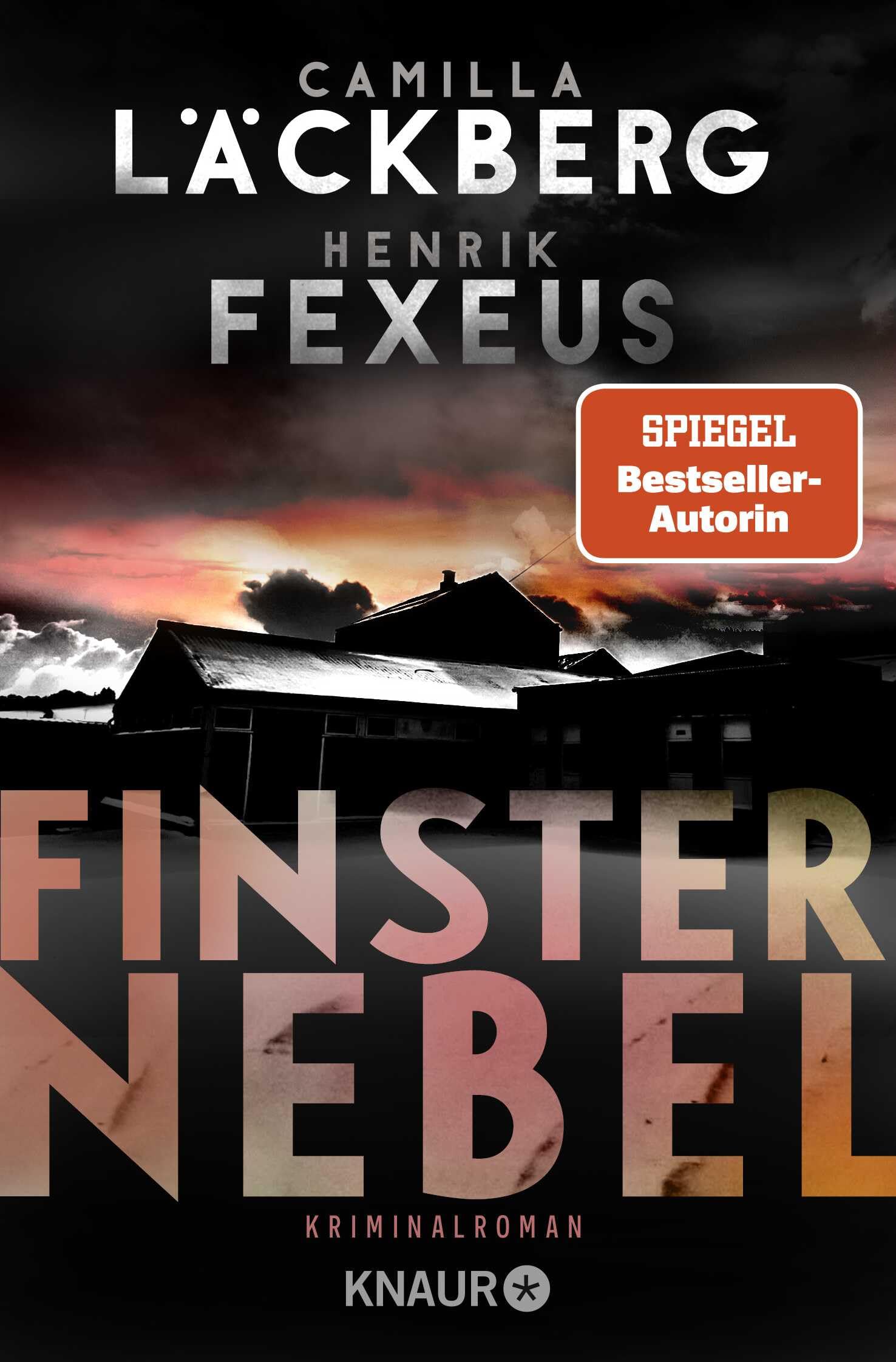 Libro: Finsternebel: Kriminalroman | Der Bestseller aus Schweden jetzt im Taschenbuch