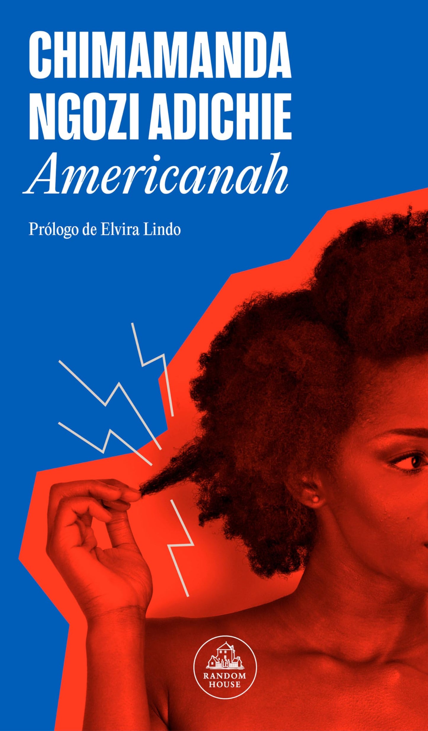Libro: Americanah (Spanish Edition)