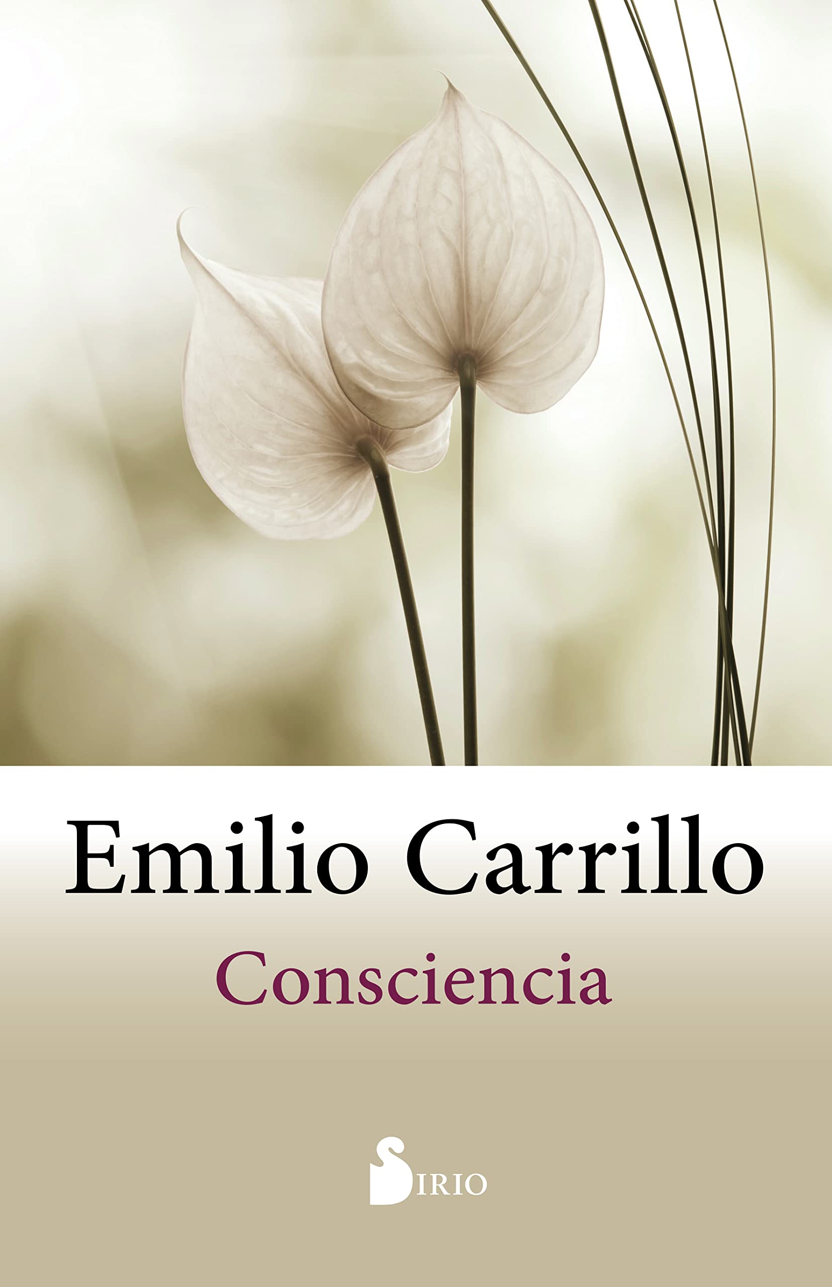 Libro: Consciencia (ESPIRITUALIDAD)
