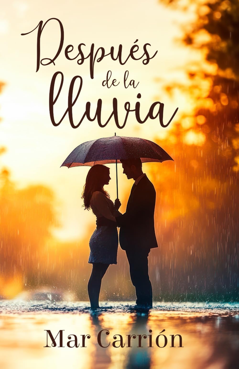 Libro: Después de la lluvia