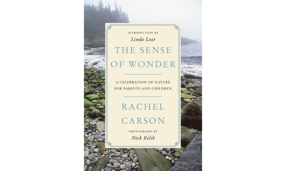 Libro: The Sense of Wonder: A Celebration of Nature for Parents and Children