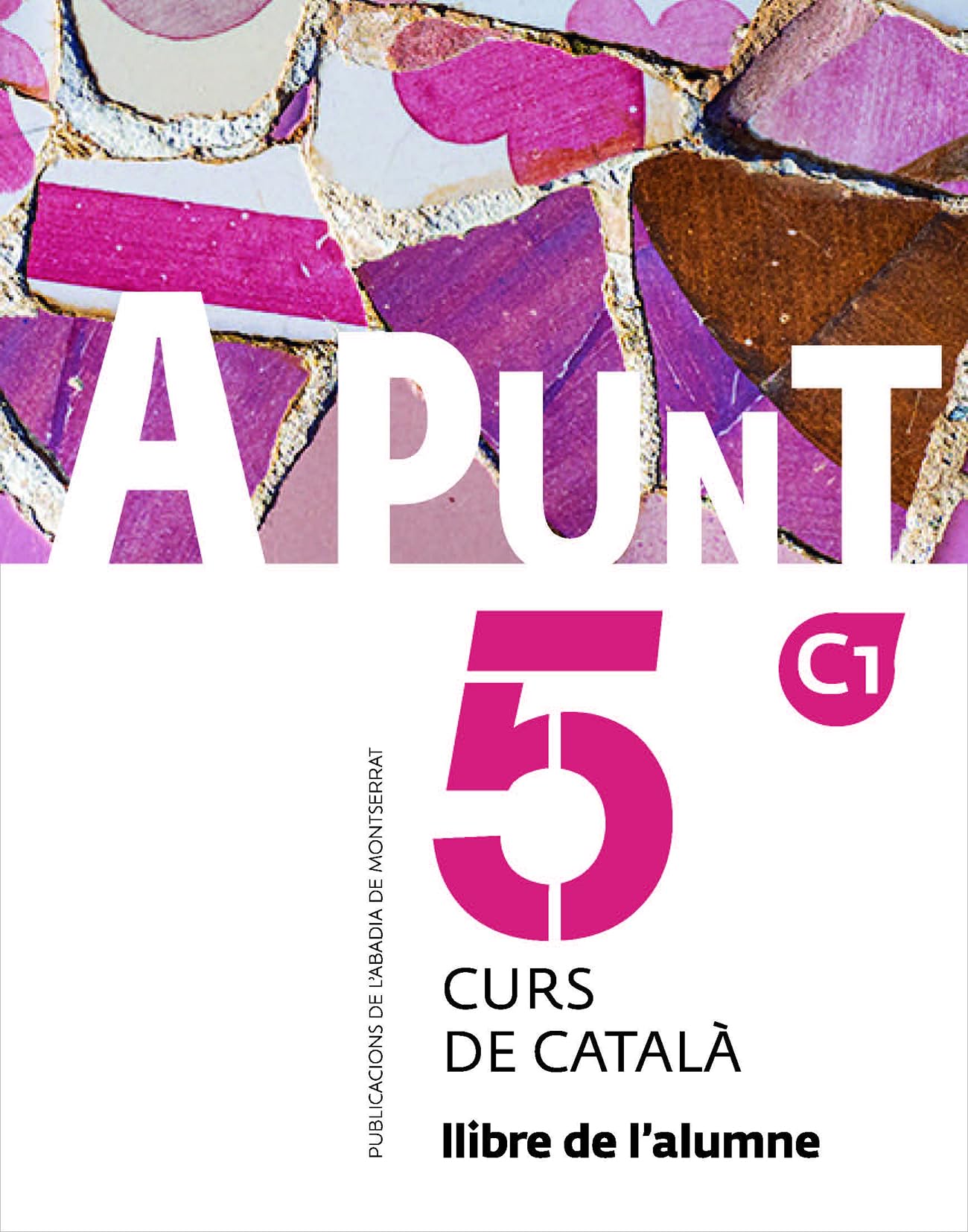 Libro: A punt 5 -Alumne-