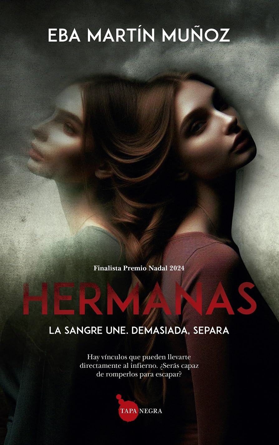 Libro: Hermanas: La sangre une. Demasiada, separa (Spanish Edition)