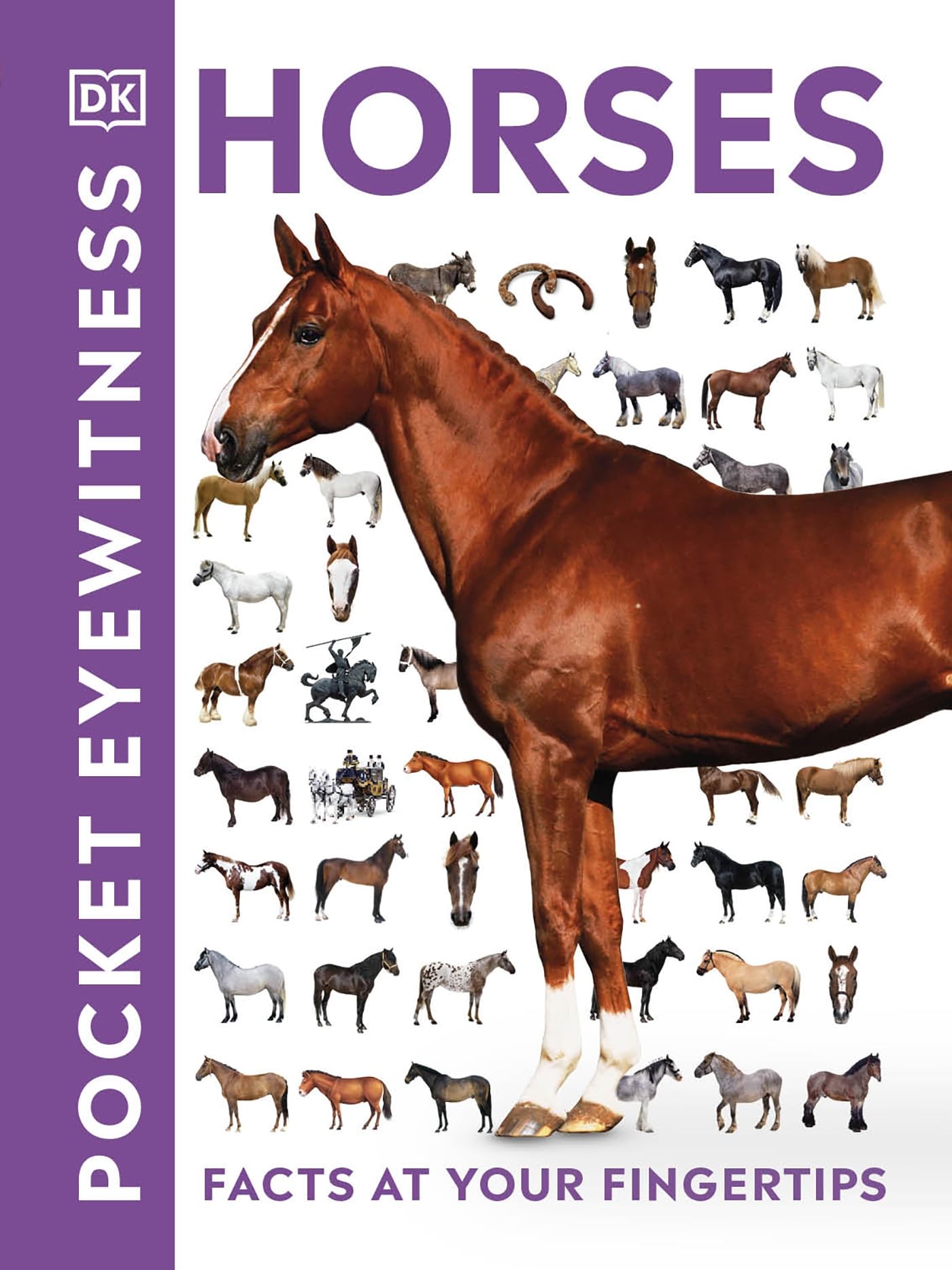 Libro: Pocket Eyewitness Horses