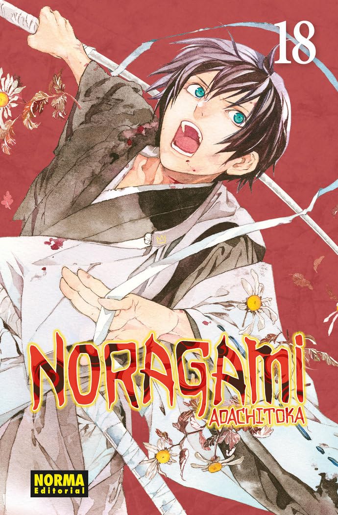 Libro: Noragami 18 (SIN COLECCION)