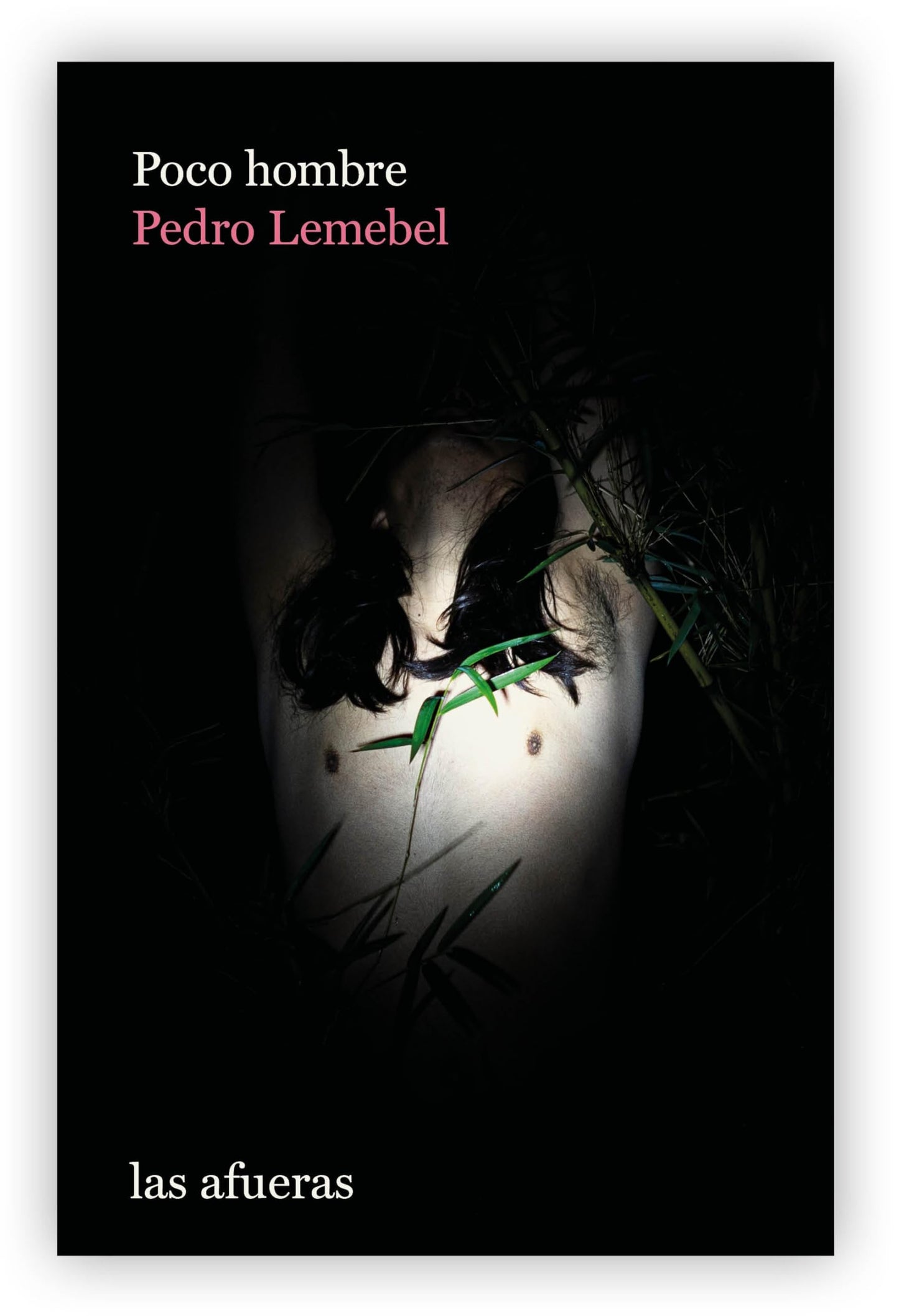 Libro: Poco hombre: Crónicas escogidas (Las afueras)