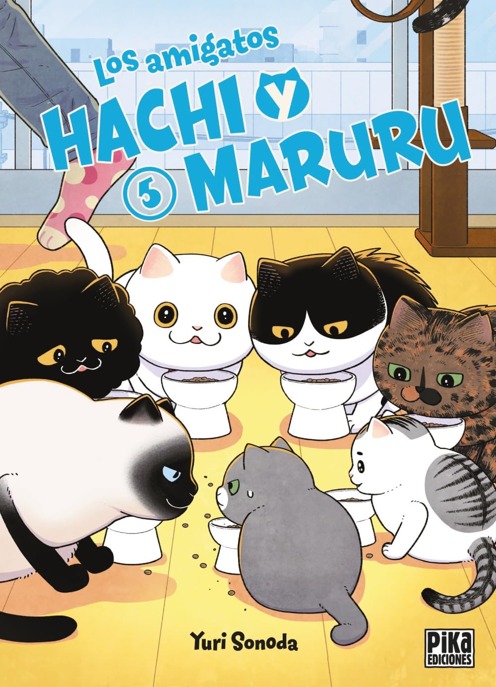 Libro: Los amigatos Hachi y Maruru, 5 (Seinen - Maruru y Hachi)