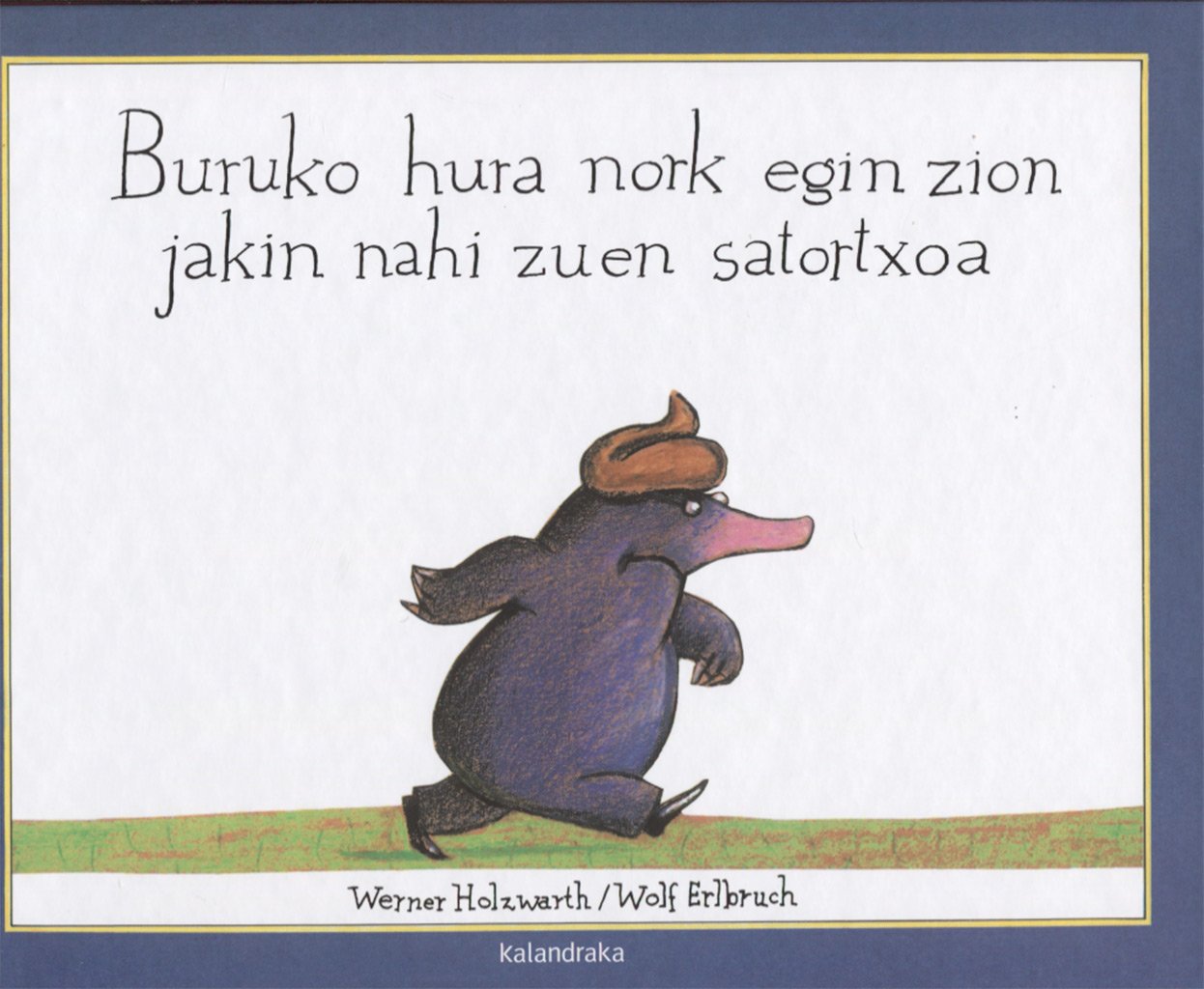 Libro: Buruko hura nork egin zion... (Amets egiteko liburuak)