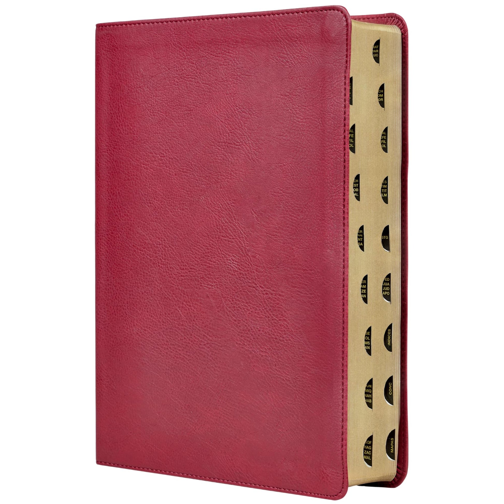 Libro: RVR, Biblia de estudio trasfondo cultural (El contexto lo cambia todo), Leathersoft, Rojo vino, Interior a color, con Índice, Comfort Print: Explora el mundo antiguo de la Escritura (Spanish Edition)