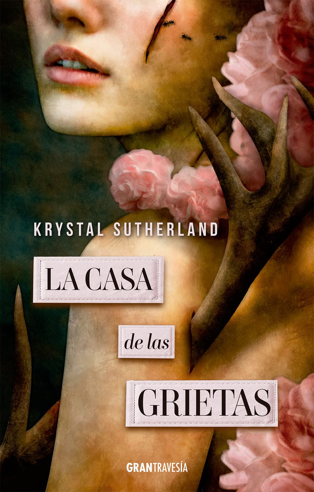Libro: La casa de las grietas (GRAN TRAVESIA)