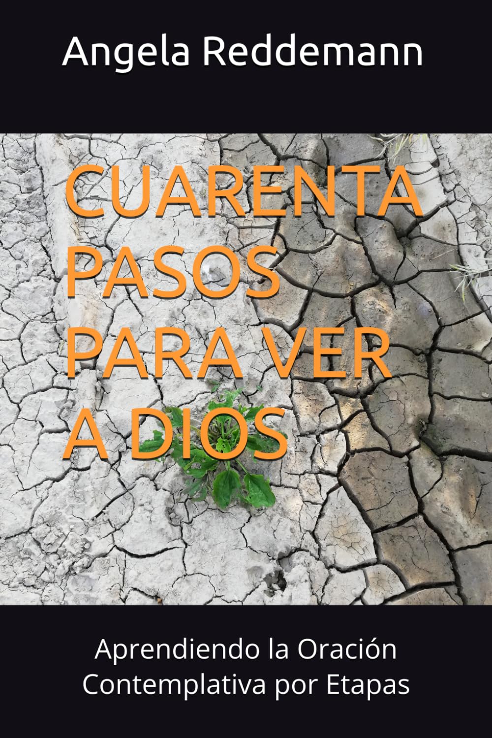 Libro: CUARENTA PASOS A DAR: Aprendiendo la Oración Contemplativa por Etapas (Spanish Edition)