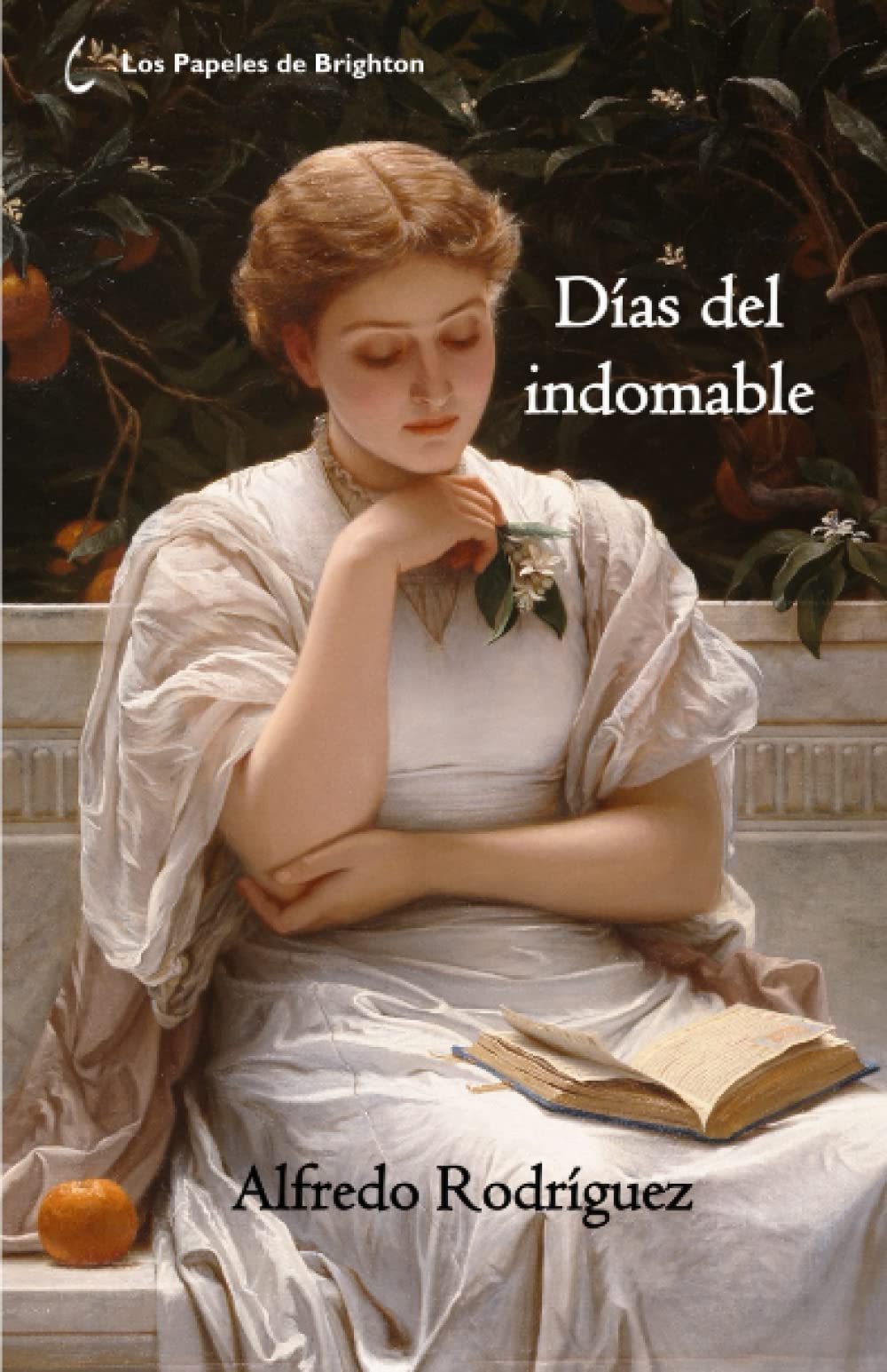 Libro: Días del indomable: Diario de un poeta (2010-2011)