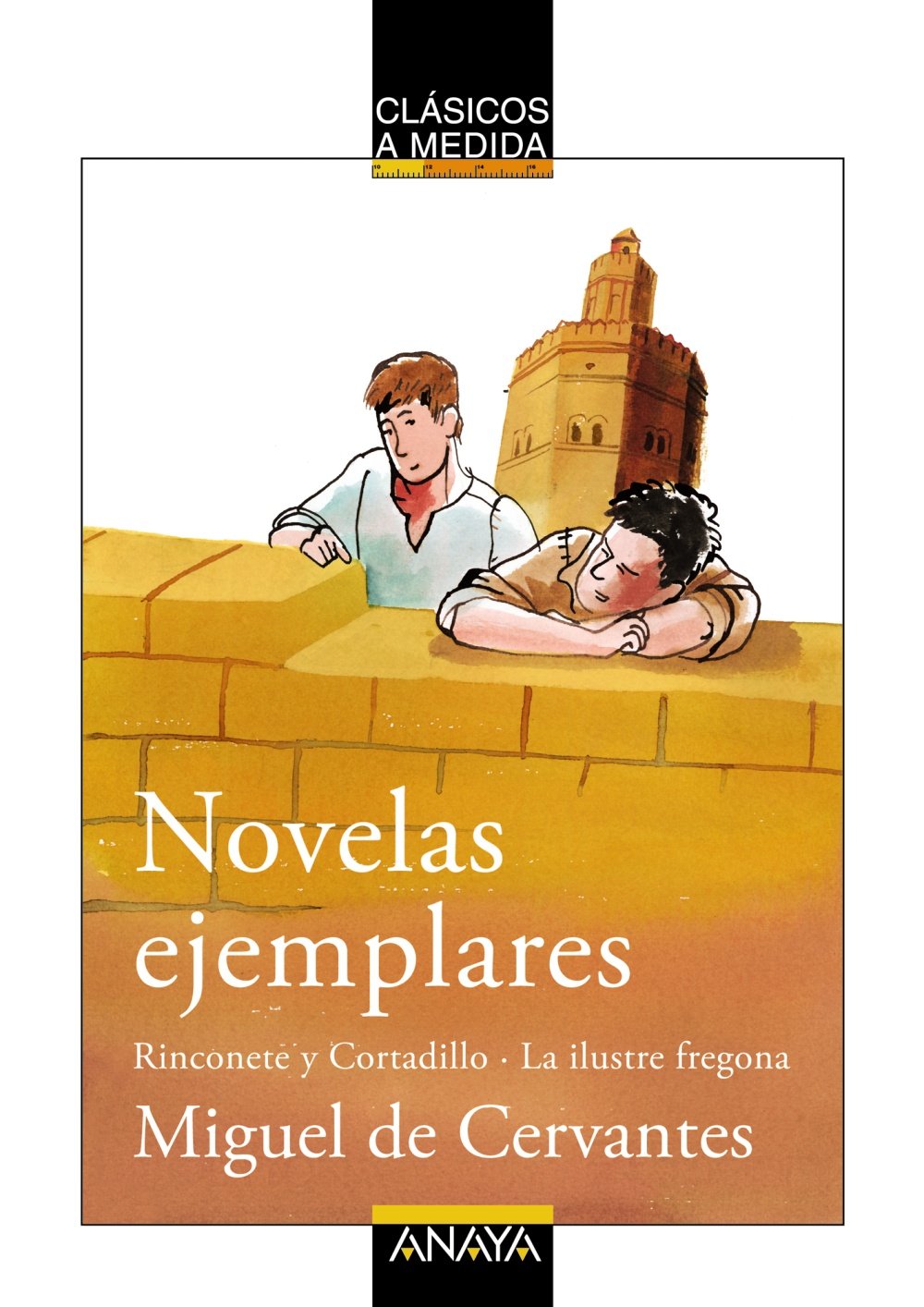 Libro: Novelas ejemplares: Rinconete y Cortadillo/La ilustre fregona (CLÁSICOS - Clásicos a Medida)