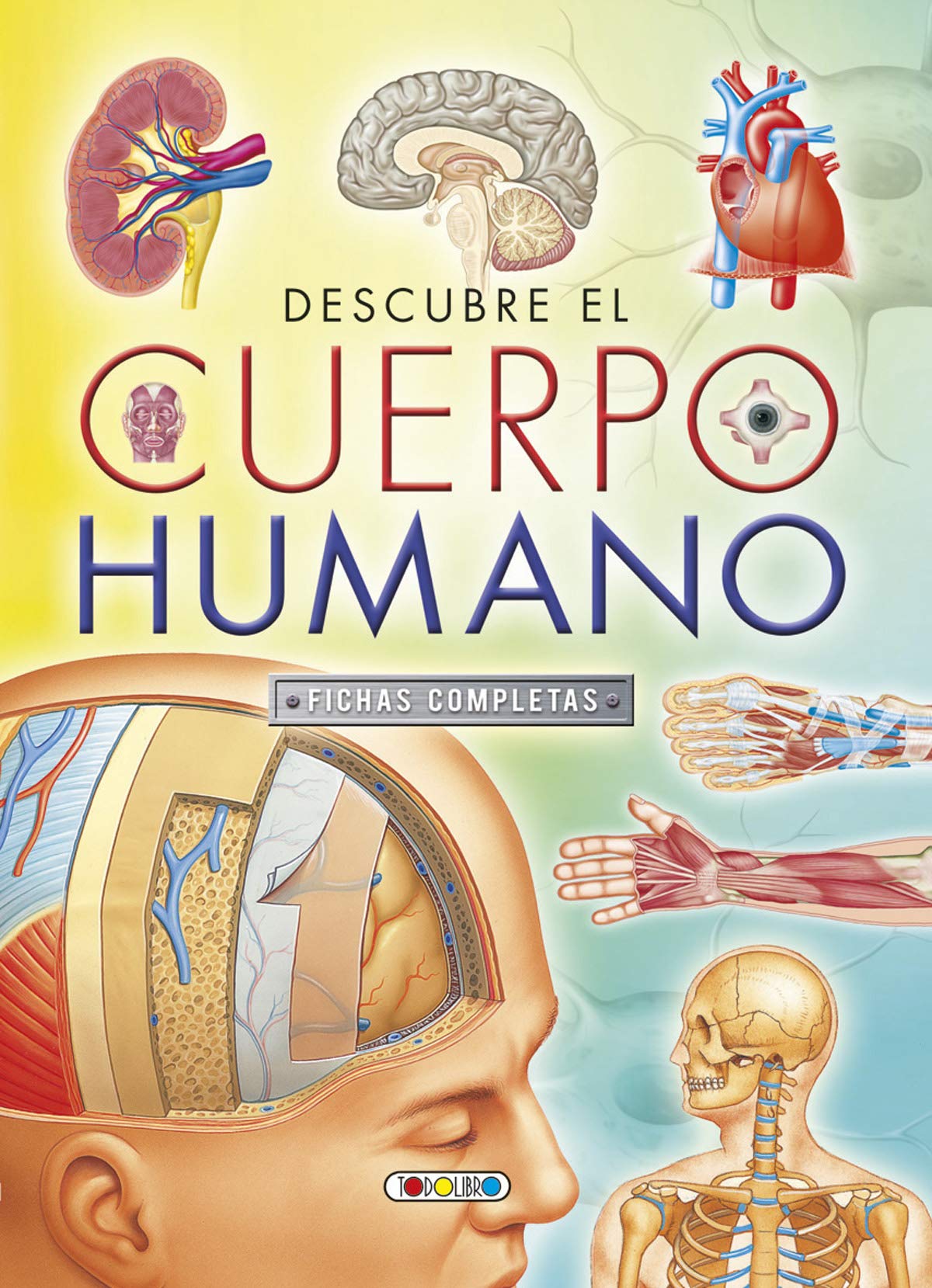 Libro: Descubre El Cuerpo humano. Fichas Completas