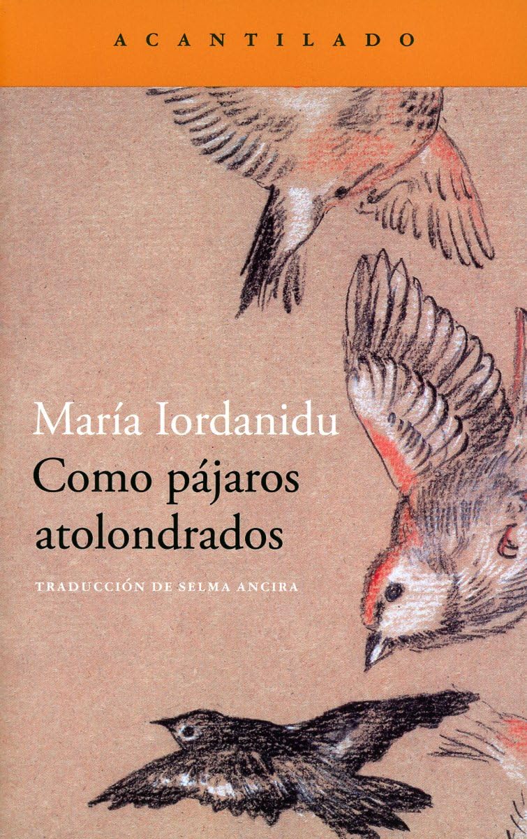 Libro: Como pájaros atolondrados