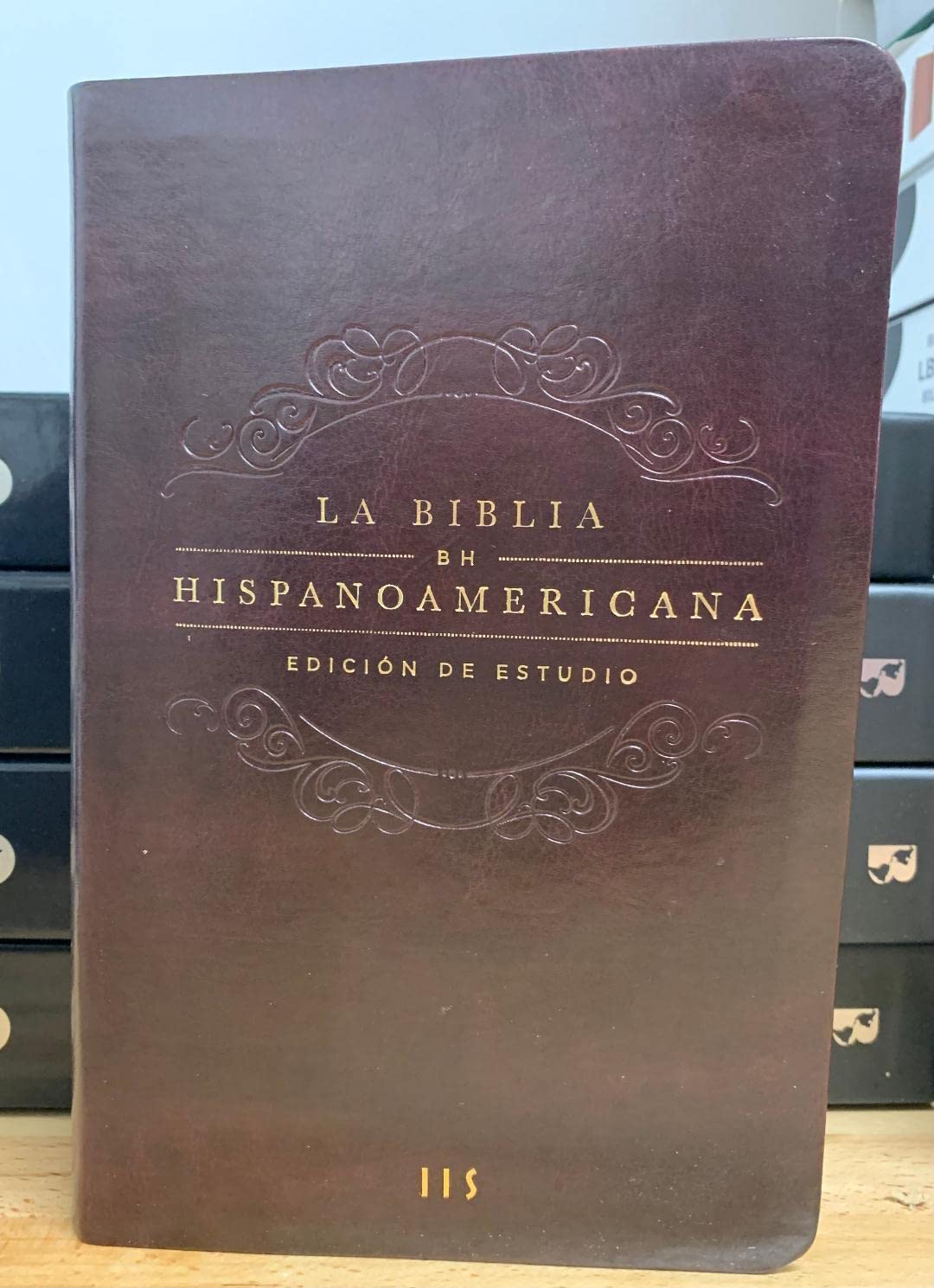 Libro: BIBLIA HISPANOAMERICANA TRADUCCIÓN INTERCONFESIONAL