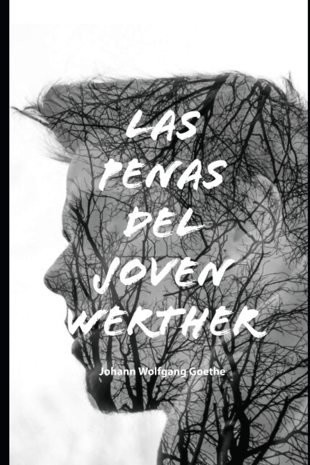 Libro: Las Penas del Joven Werther (Spanish Edition)