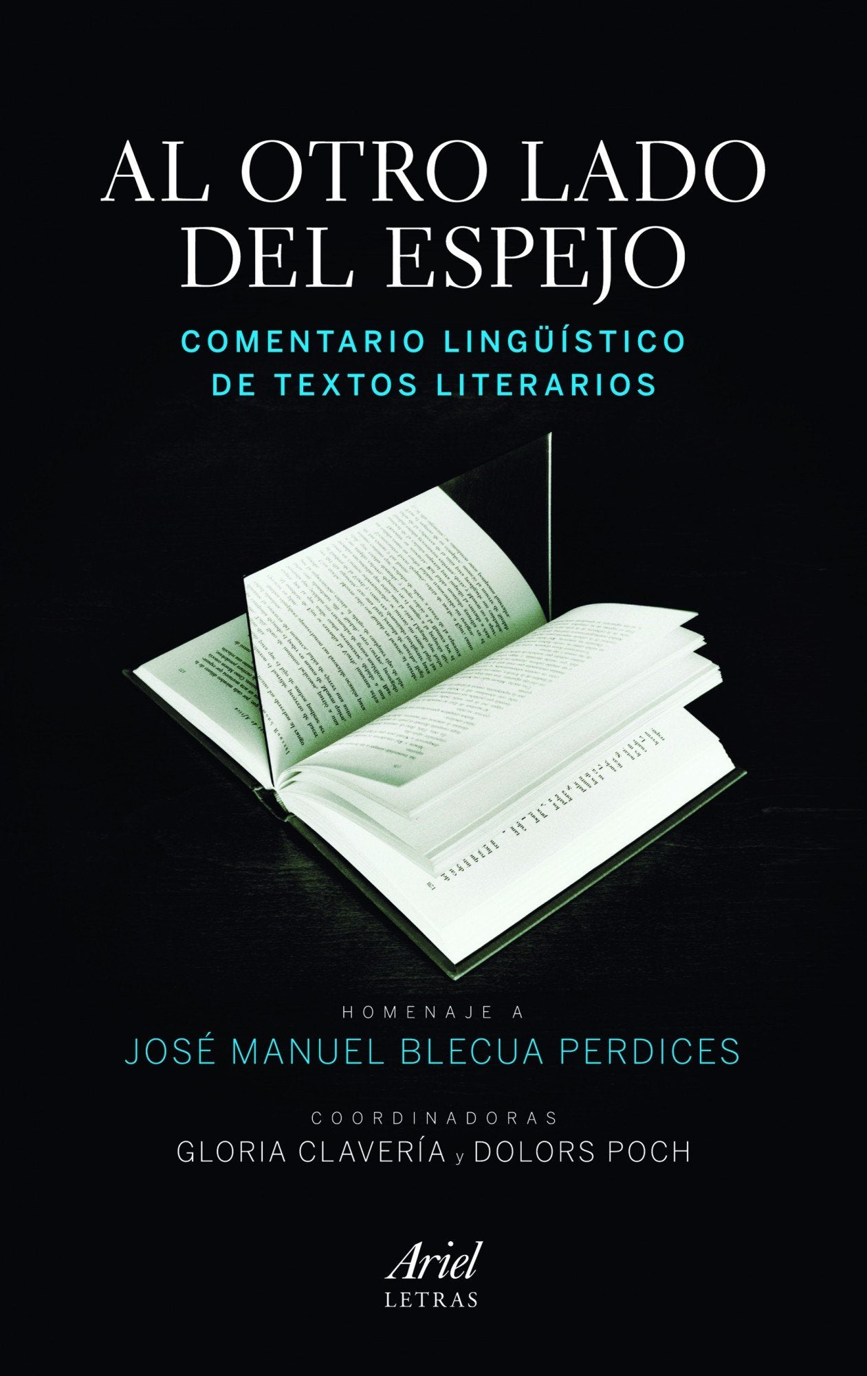 Libro: Al otro lado del espejo. Comentario lingüístico de textos literarios: Homenaje a José Manuel Blecua Perdices