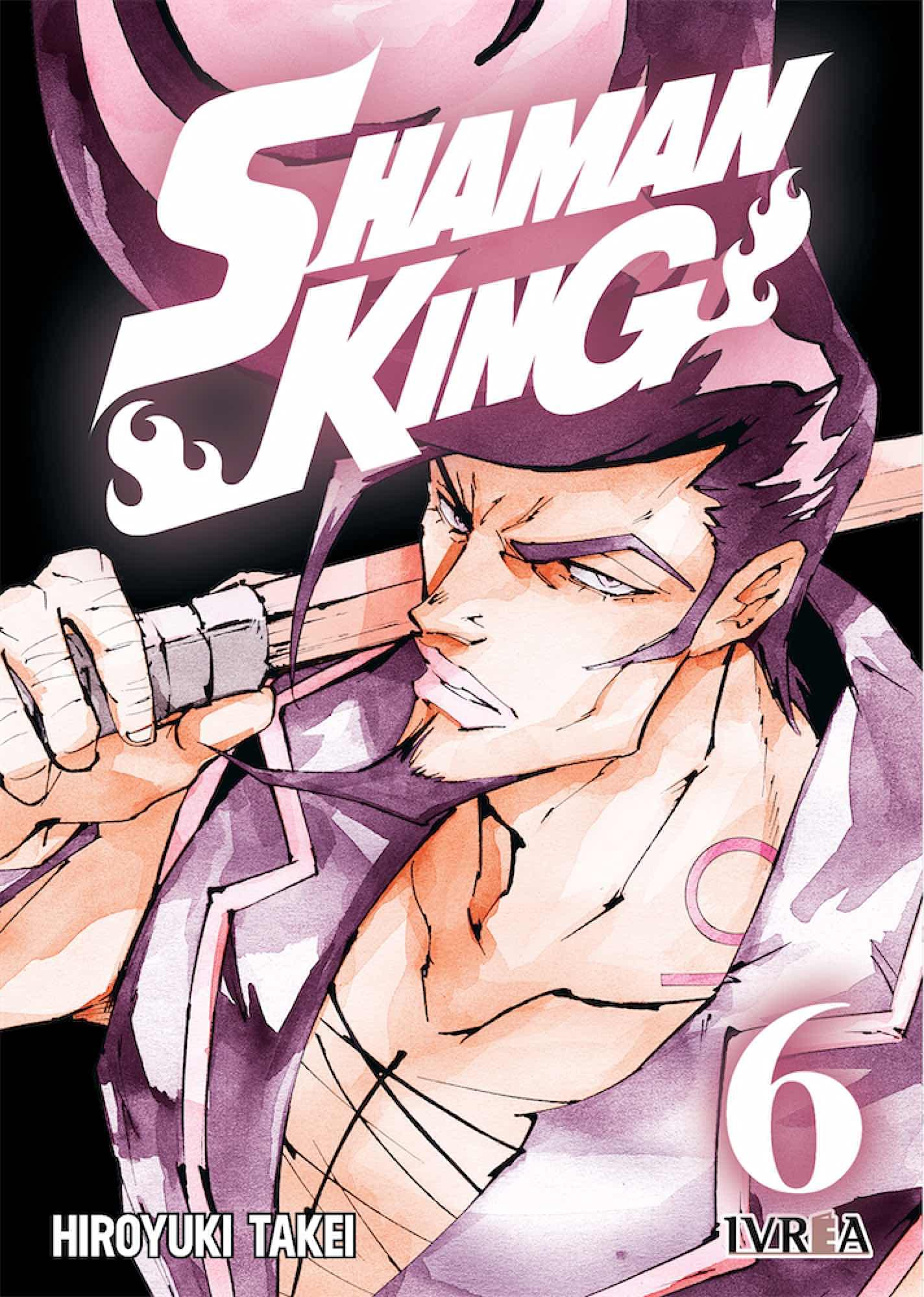 Libro: Shaman King 6