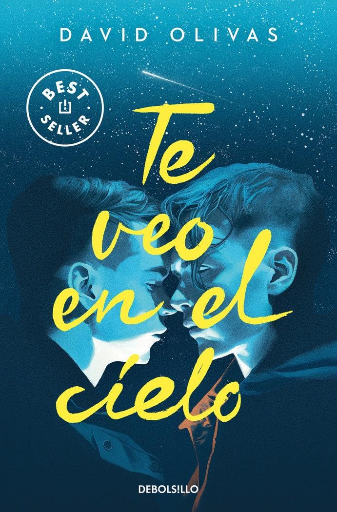 Libro: Te veo en el cielo