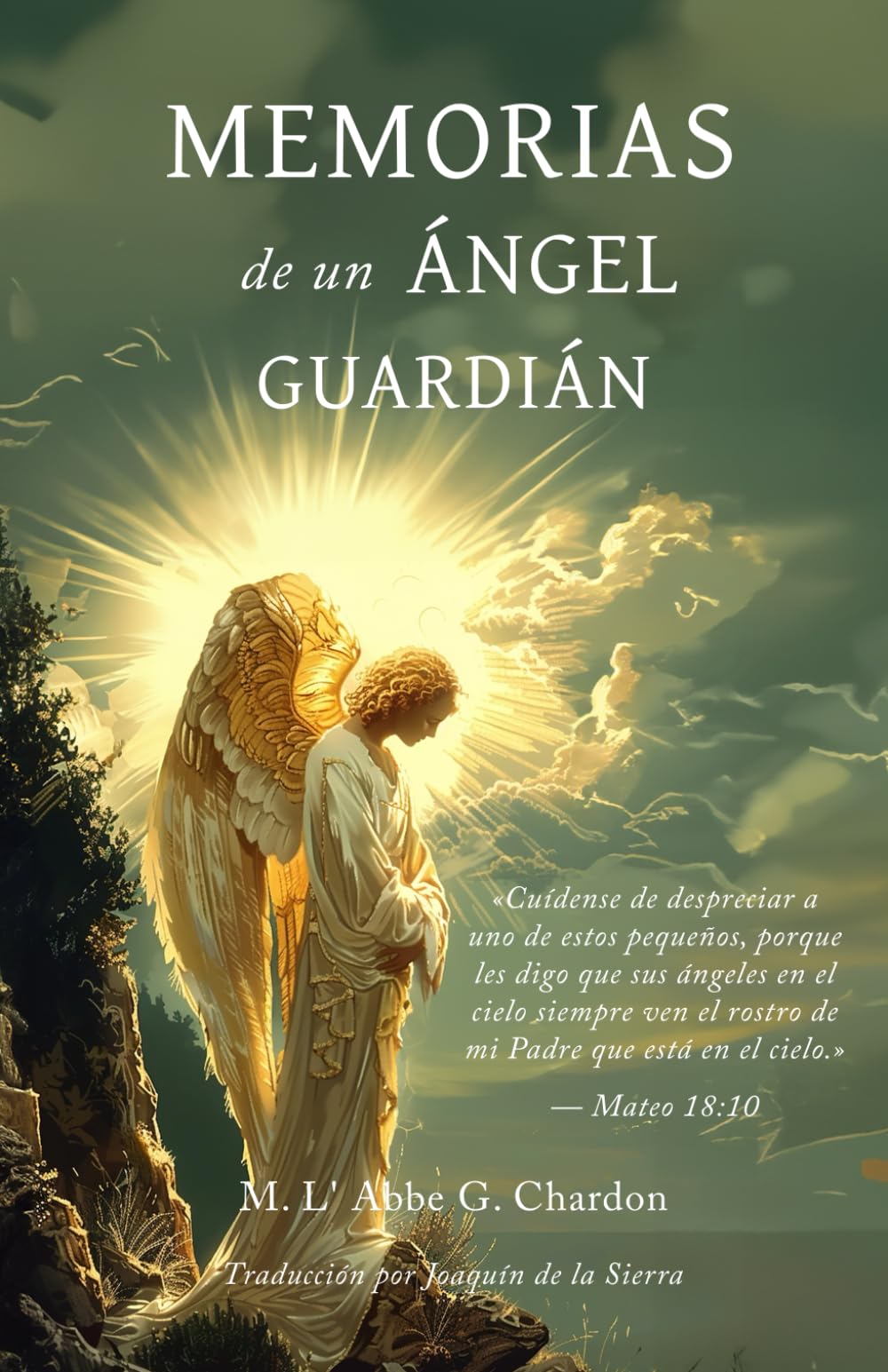 Libro: Memorias de un Ángel Guardián